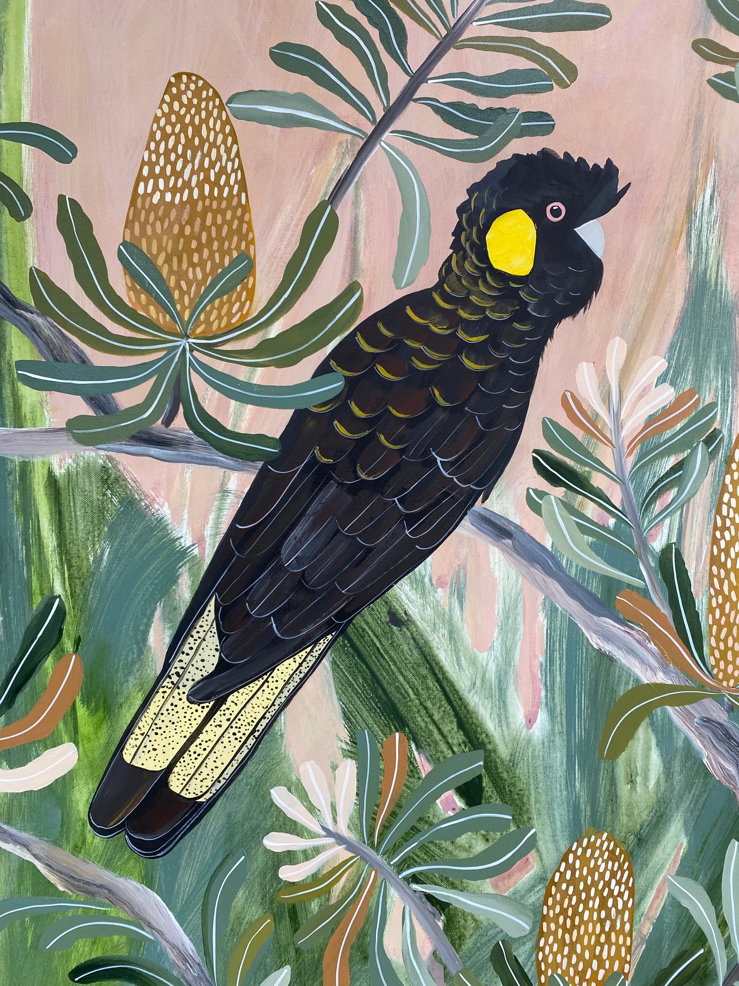 Black Cockatoos at Golden Hour #2