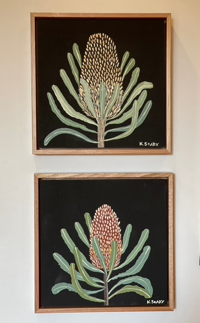 Banksia #11