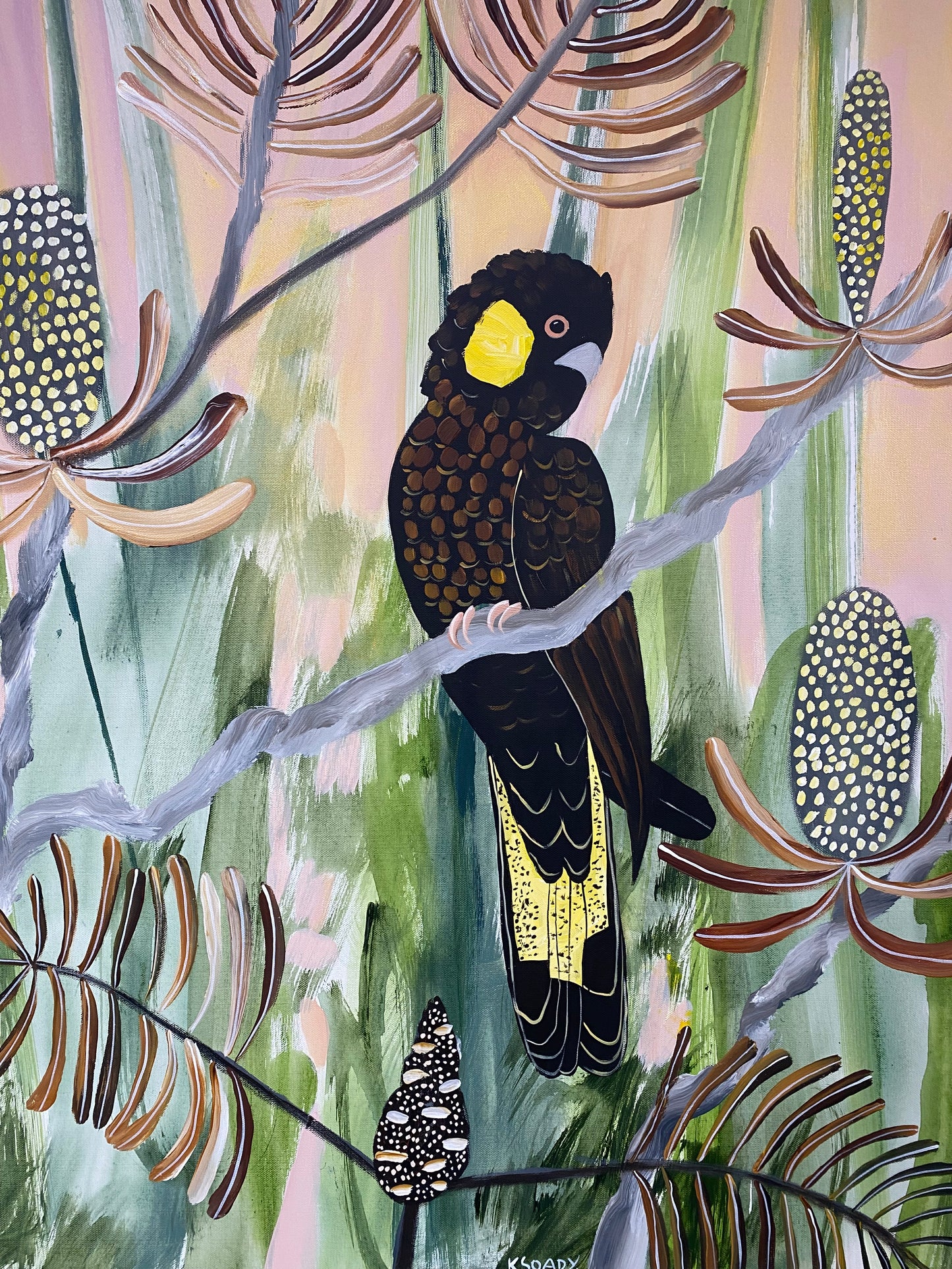 Golden Hour and Black Cockatoos