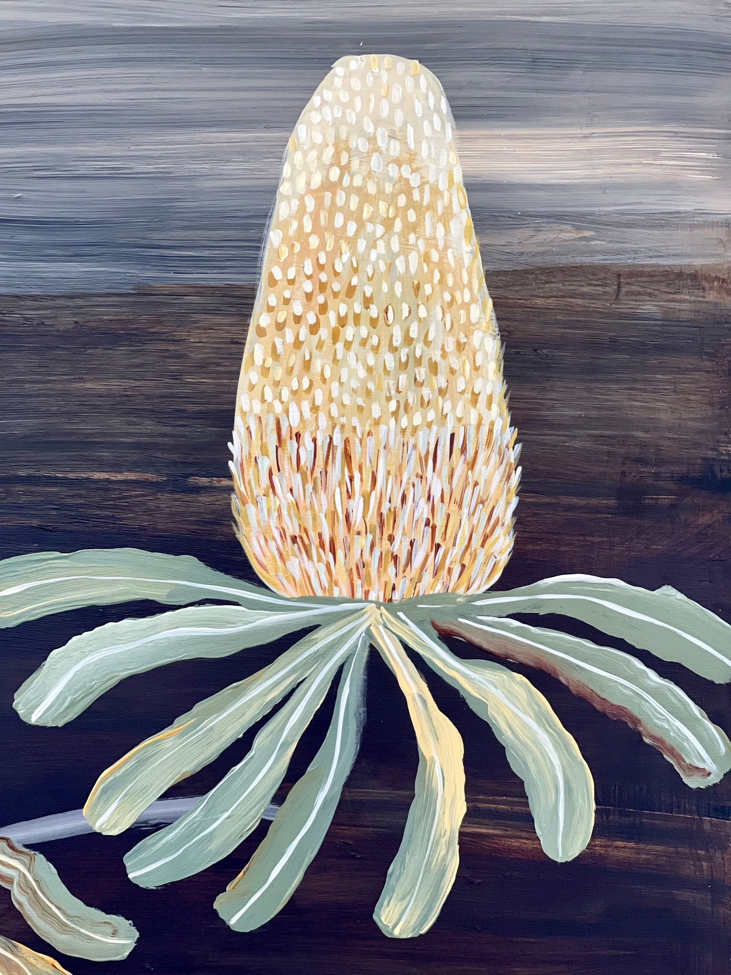 Banksia Flora #22