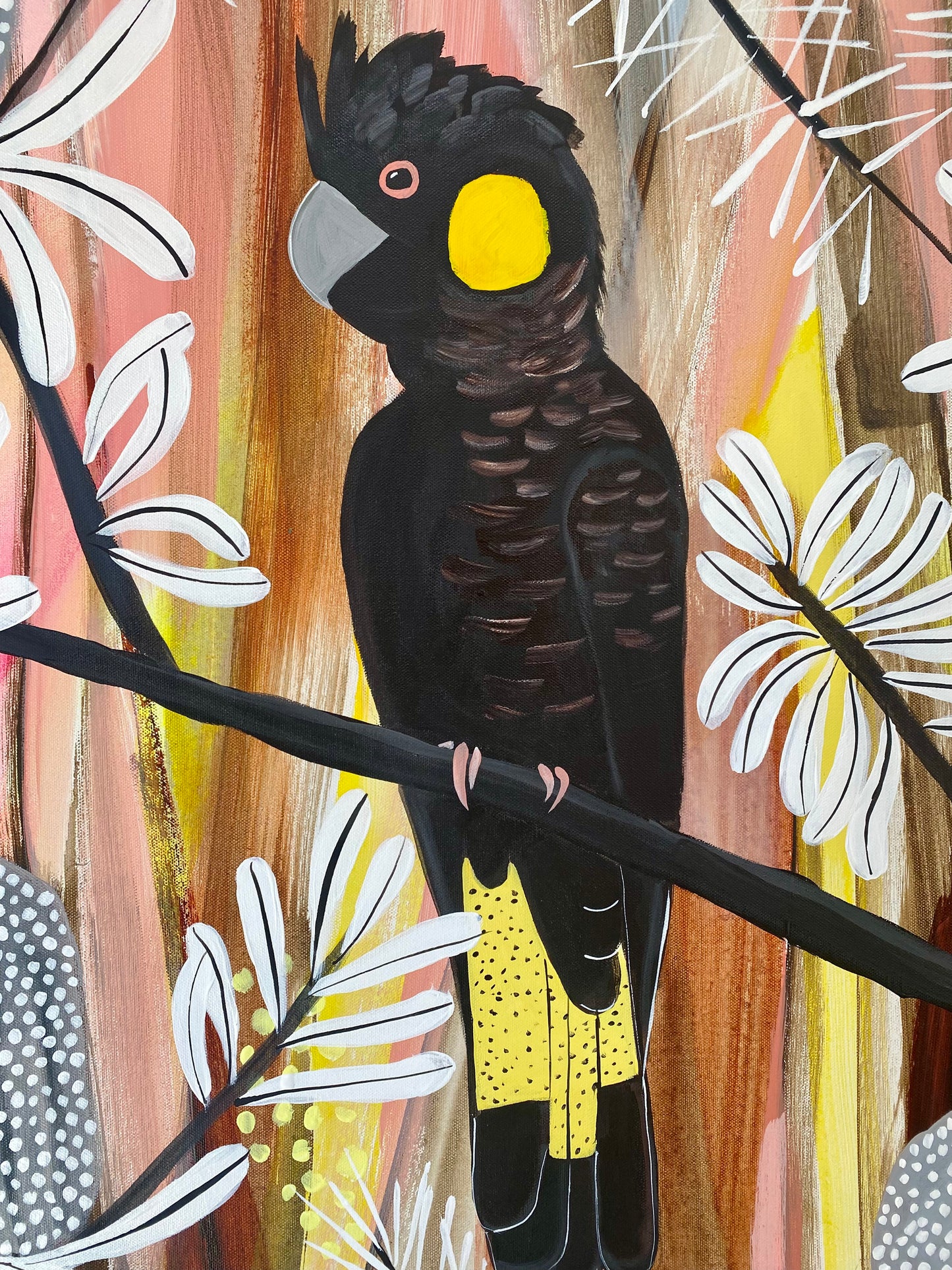 Sunset Black Cockatoos