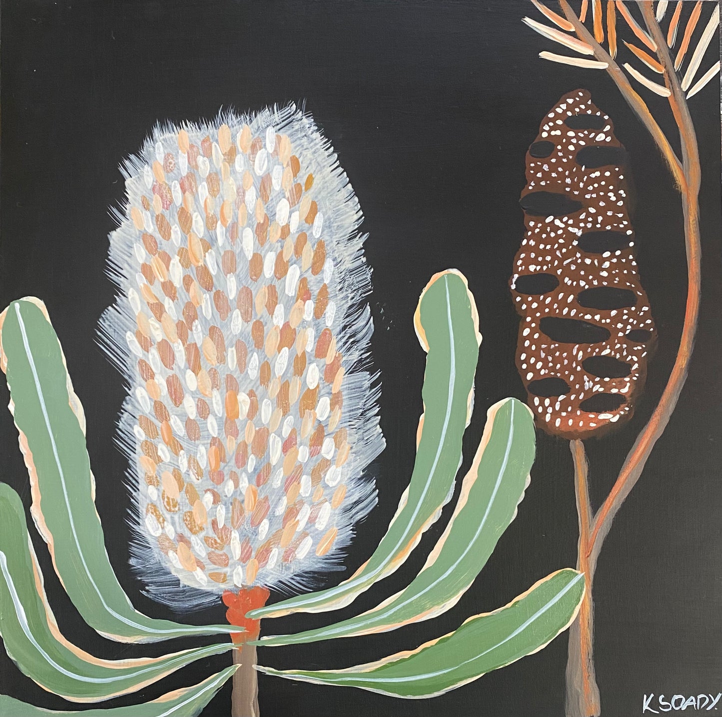 Evening Banksia #3