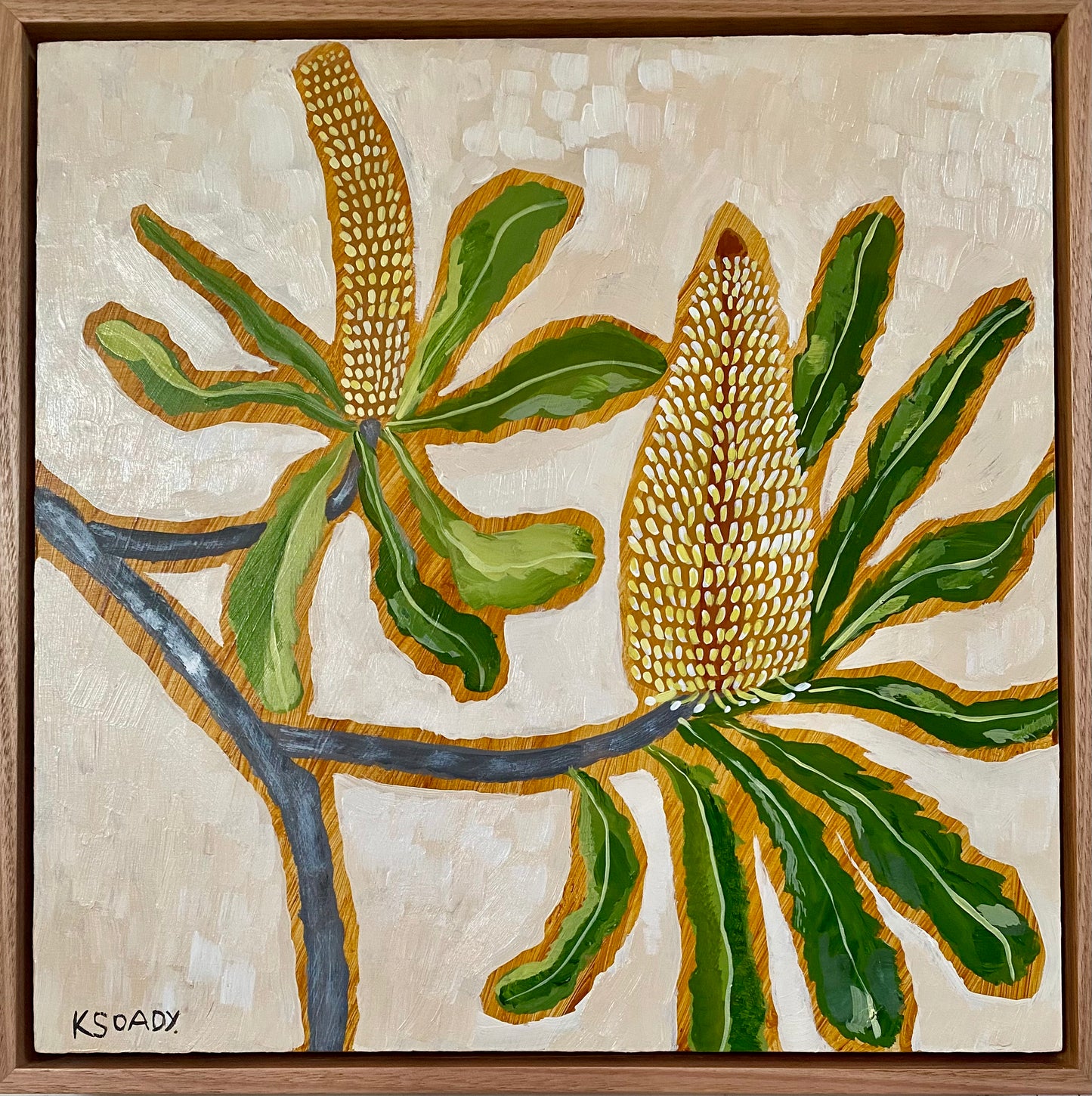 Banksia Serrata #1