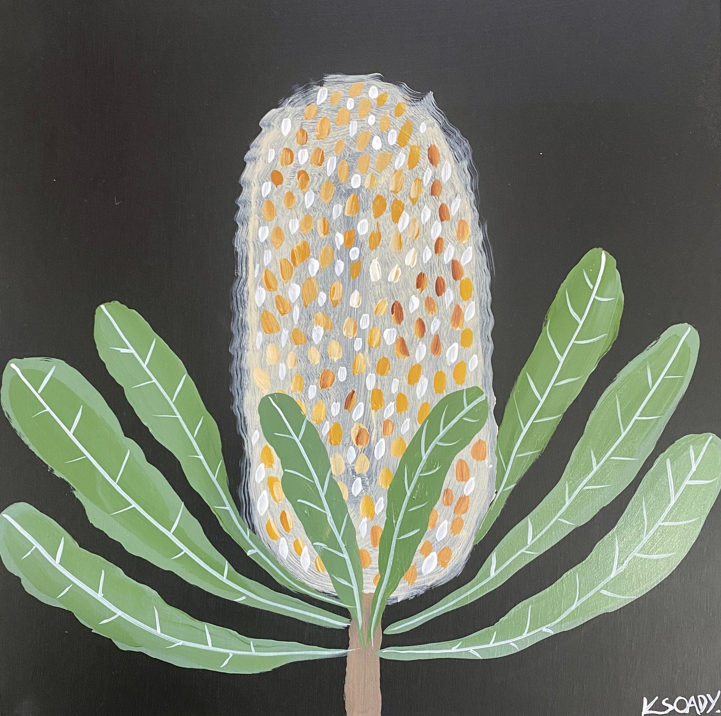 Evening Banksia #3