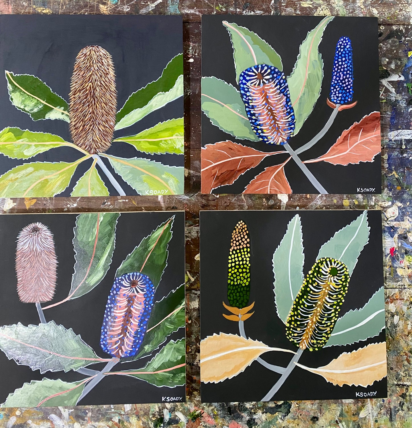 Midnight Banksia #2