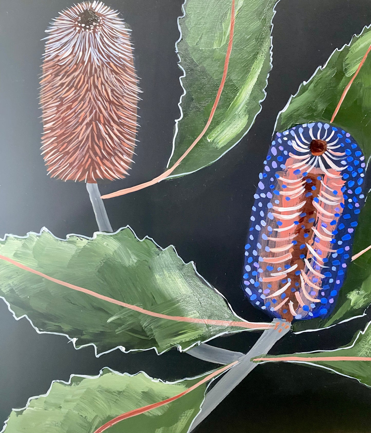 Midnight Banksia #2