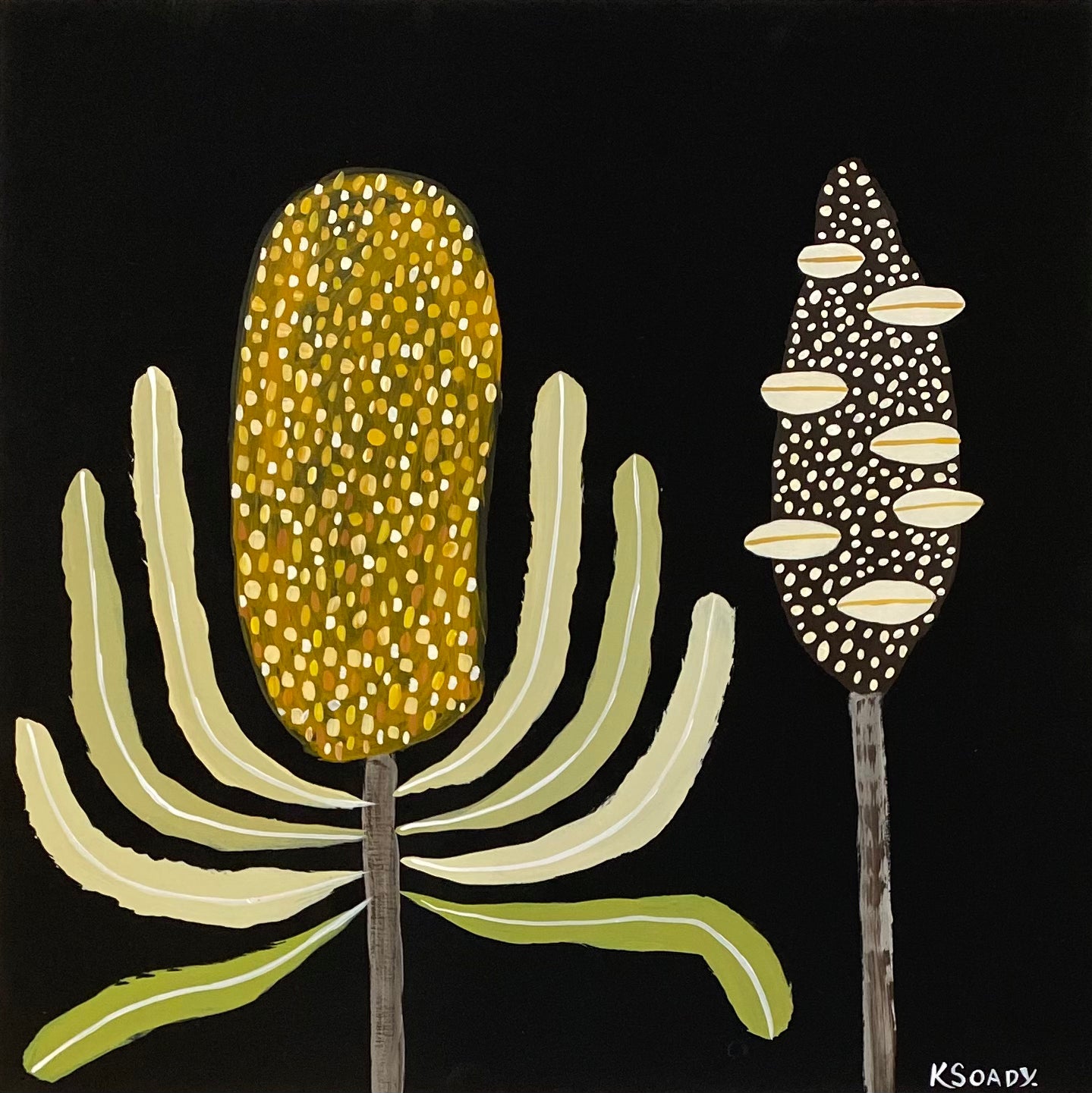 Banksia Nocturne & Pod #4