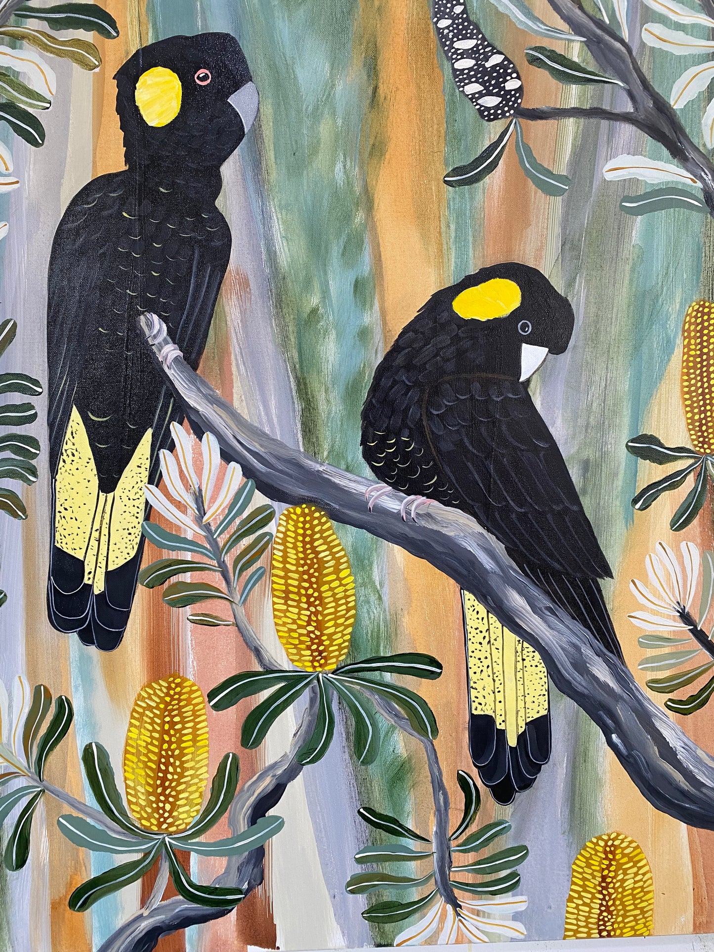 Autumn Black Cockatoos #6