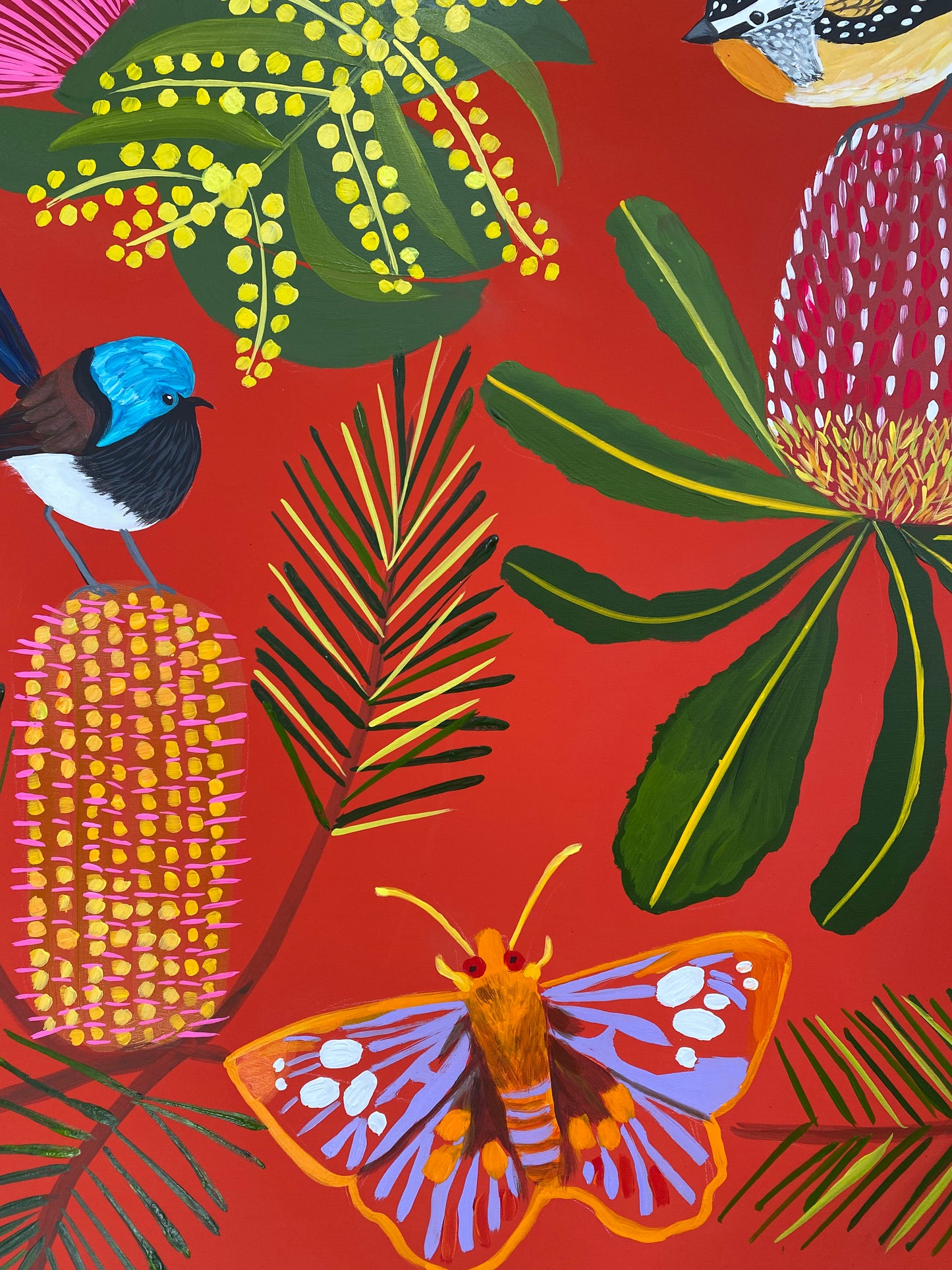 Joyful Natives #7