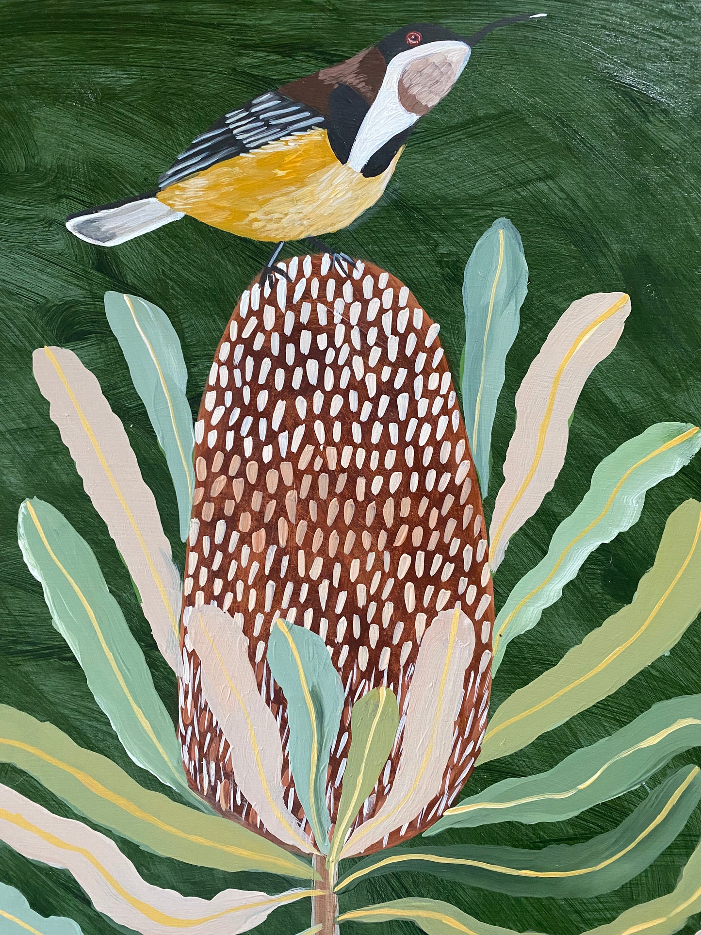 Banksia and Spinebill