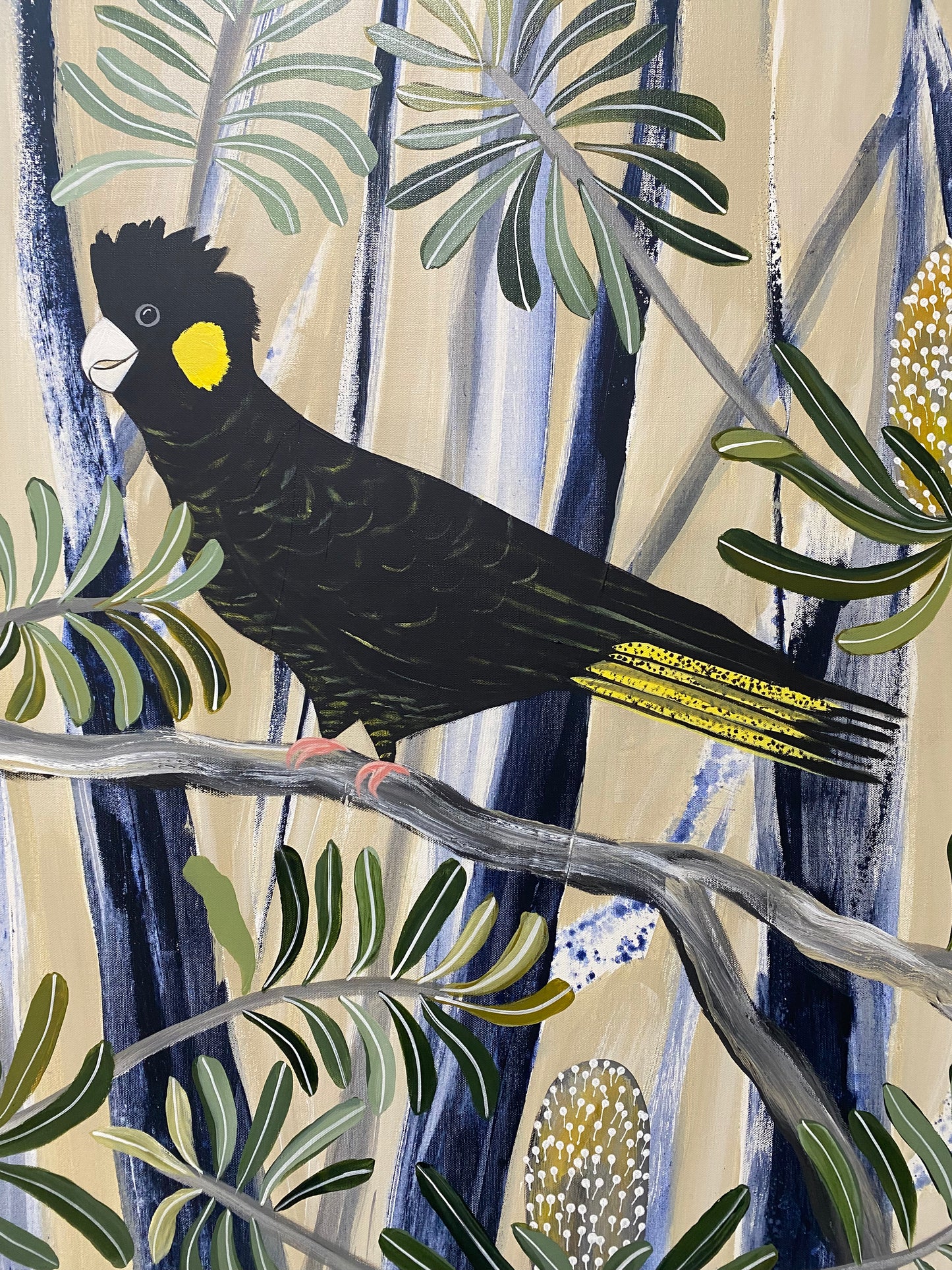 Summertime black Cockatoos