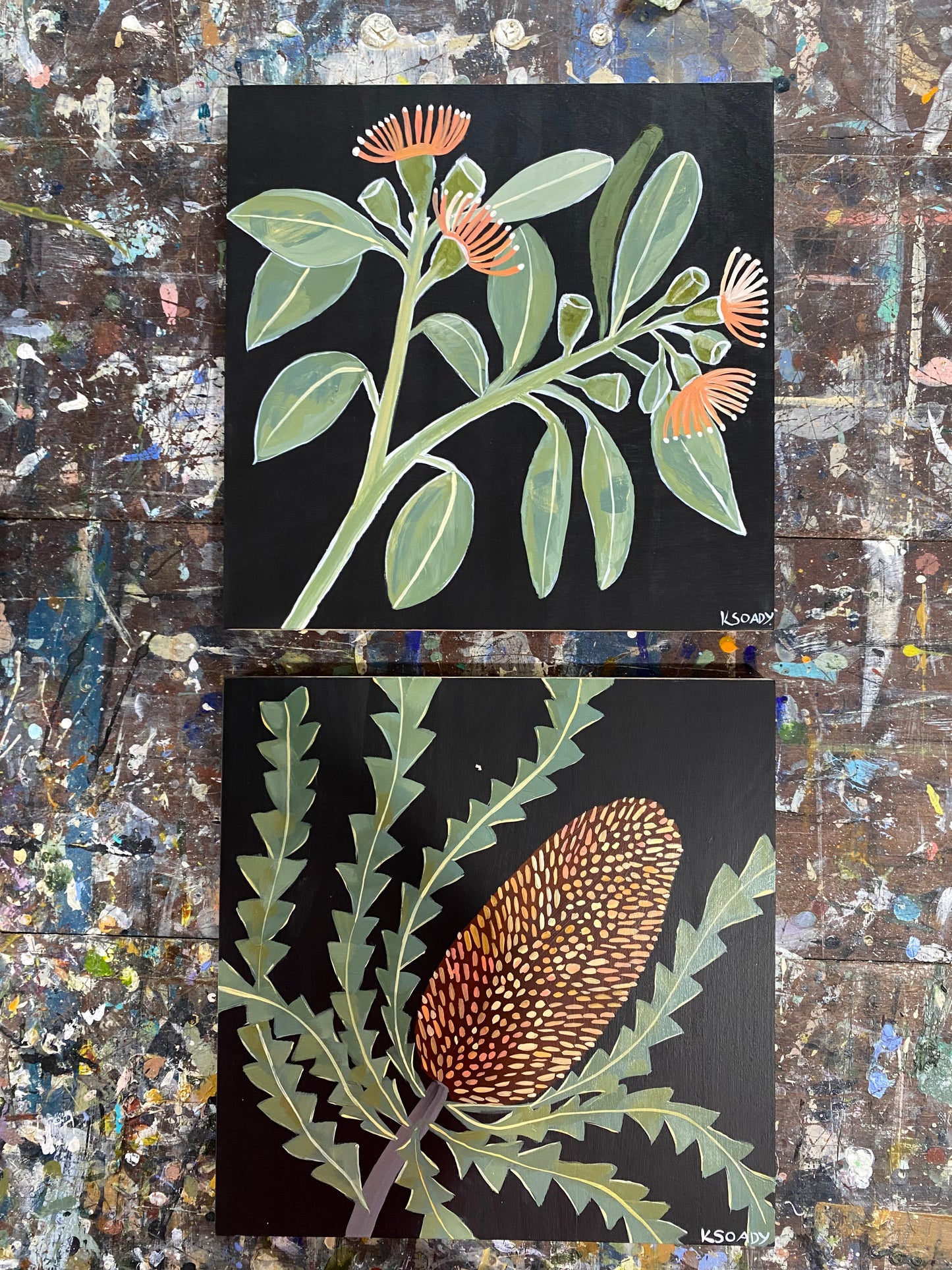 Evening Banksia #18