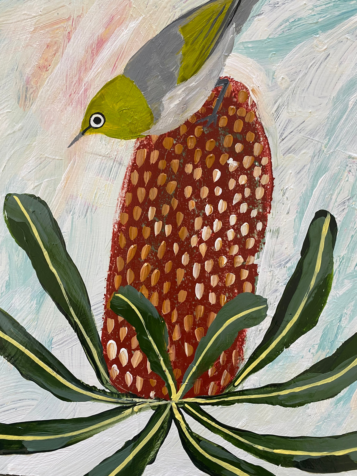 Silvereye & Banksia