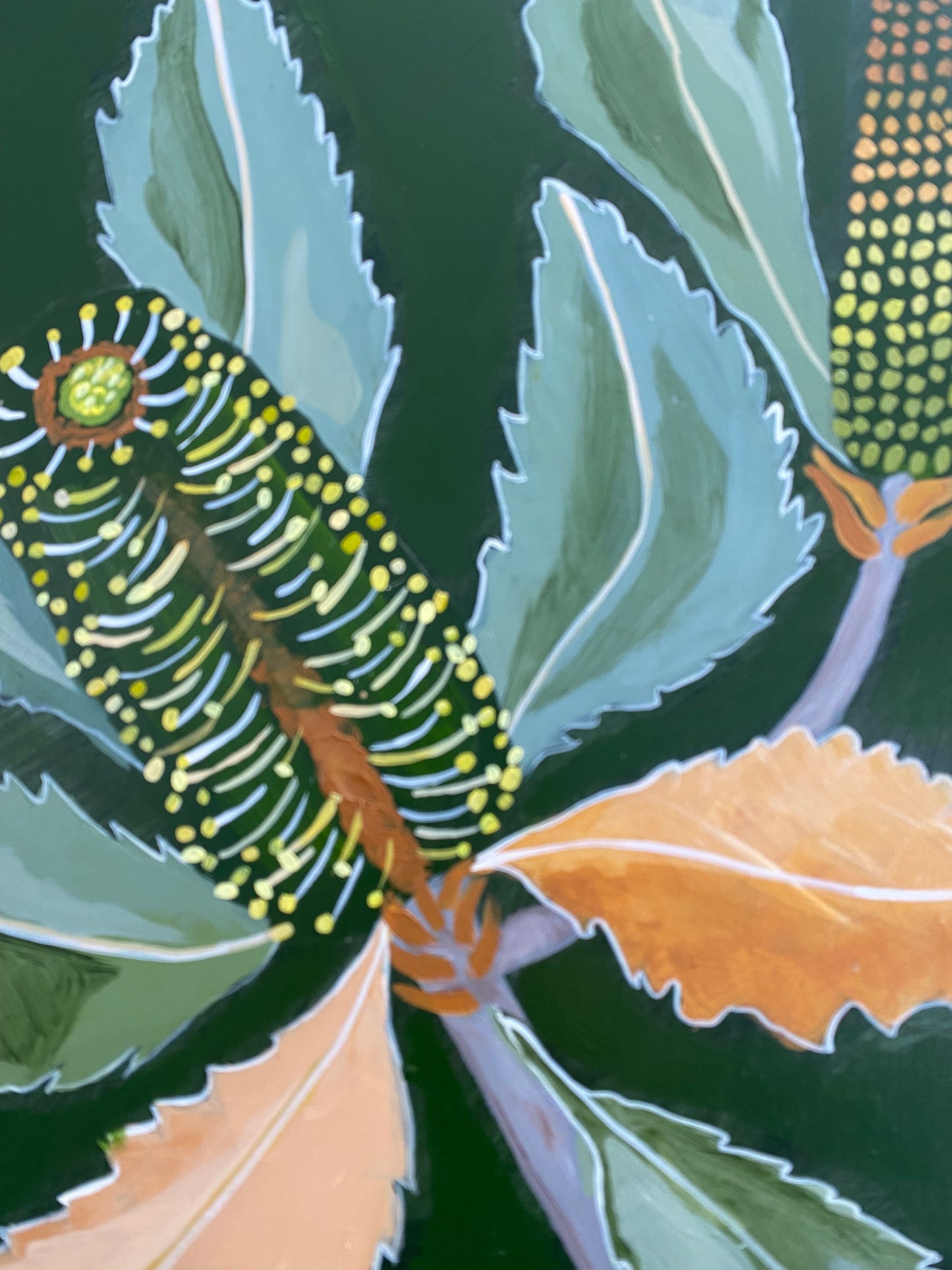 Lush Banksia #1