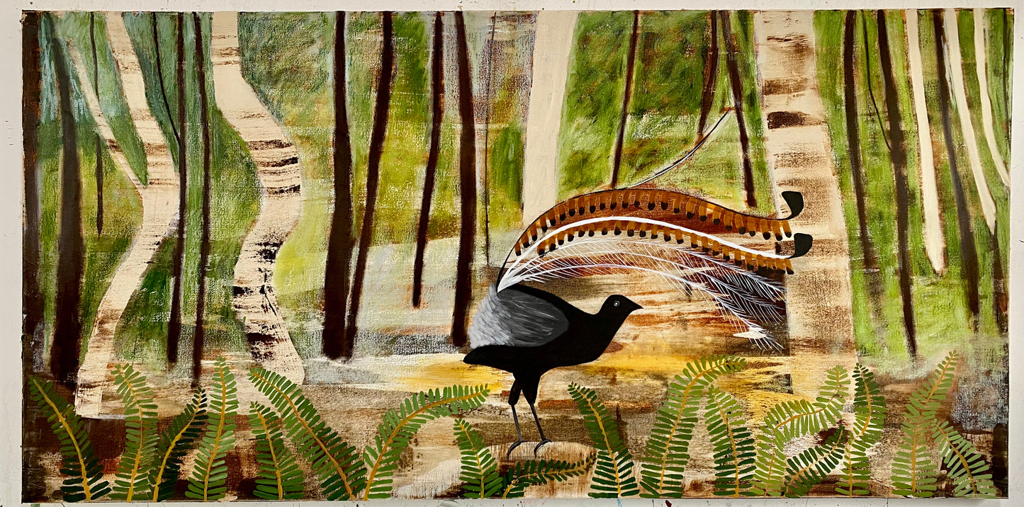 Blue Mountains Lyrebird - Sydney