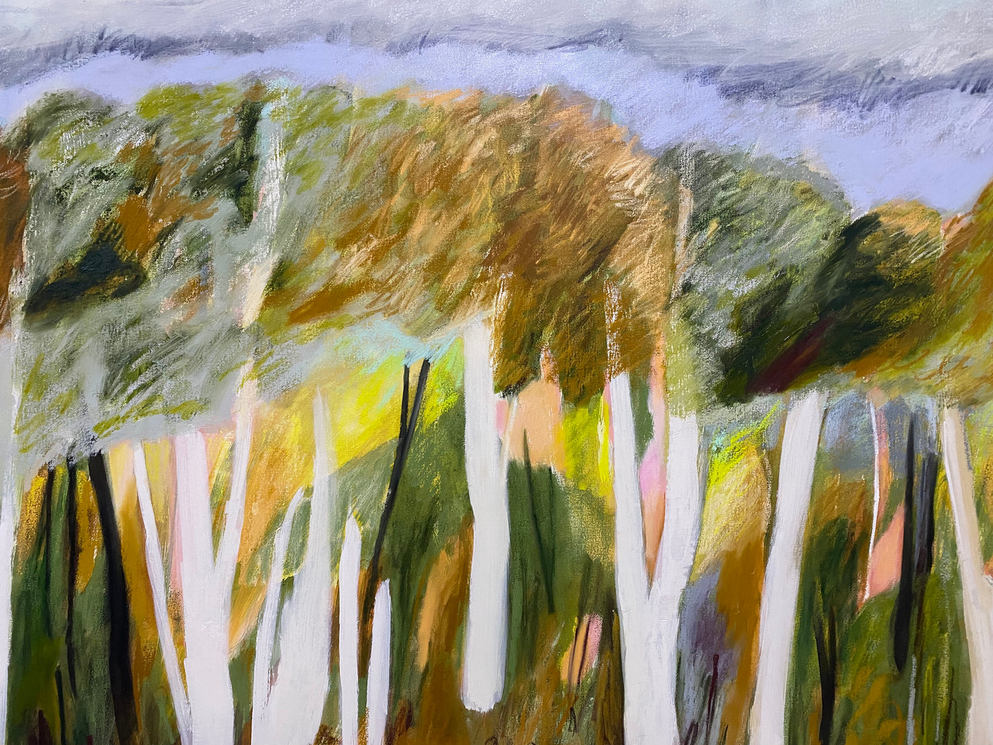 Landscape Dreaming