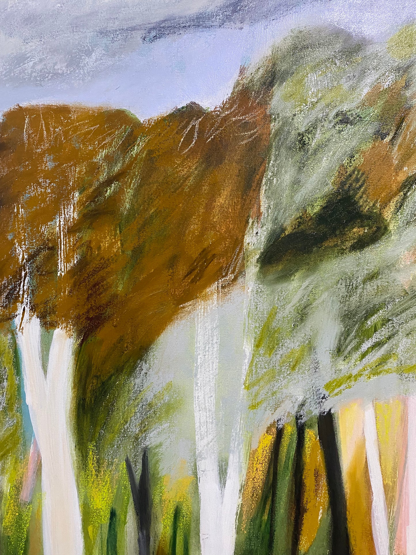 Landscape Dreaming