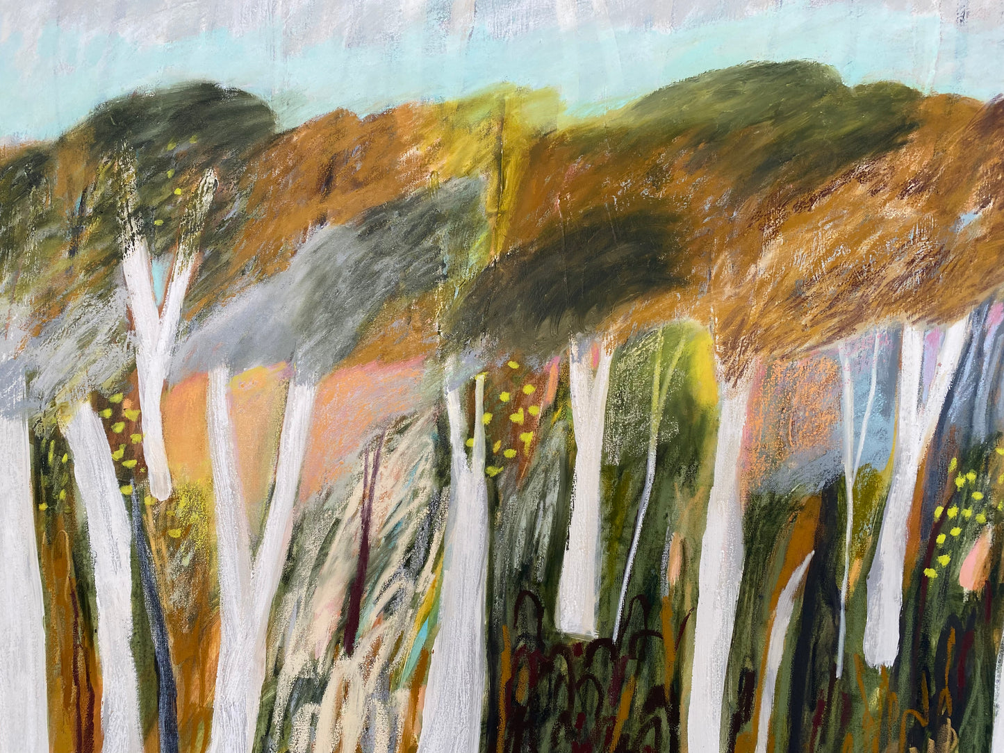 Cloudsong Canopy