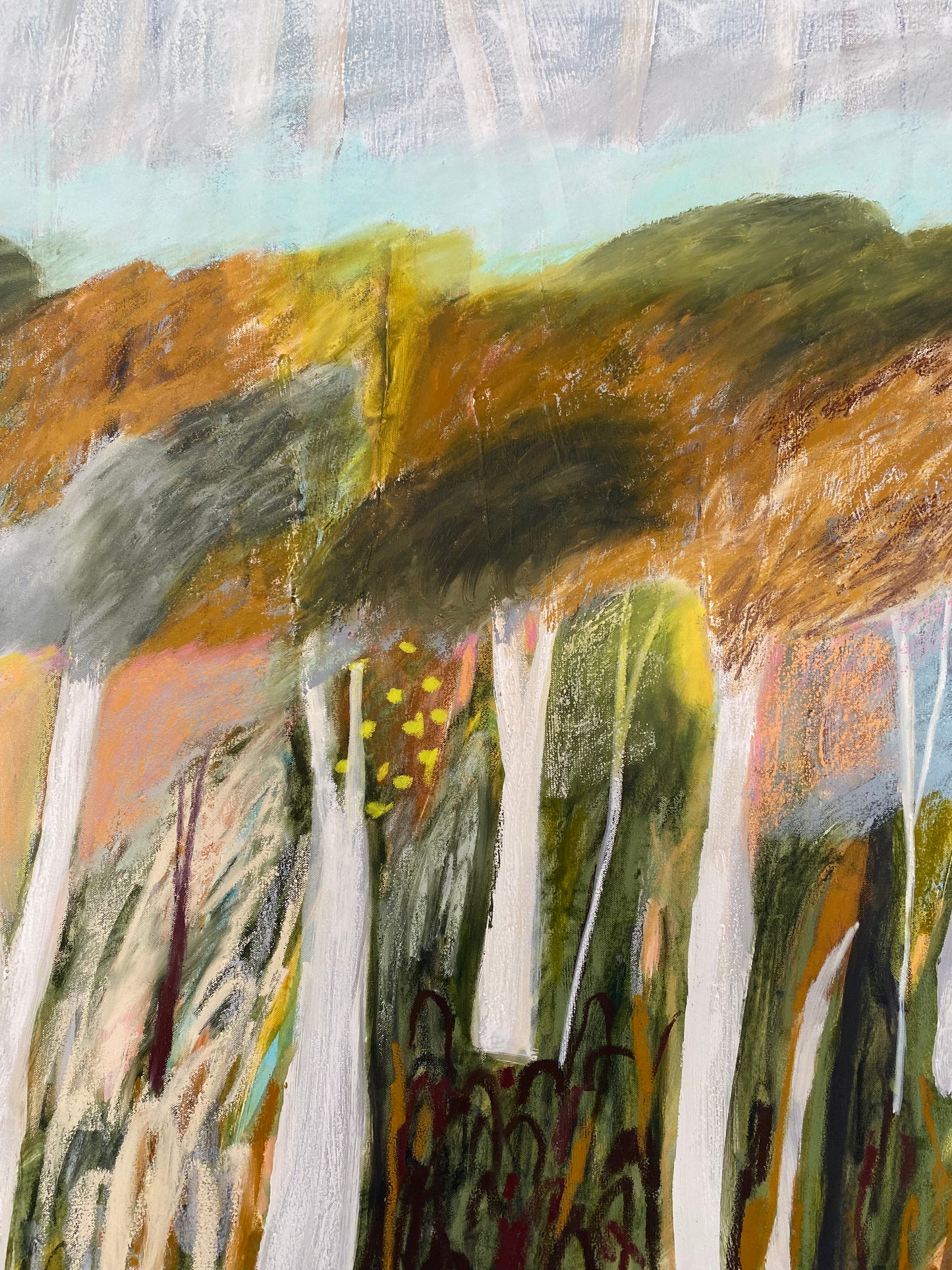 Cloudsong Canopy