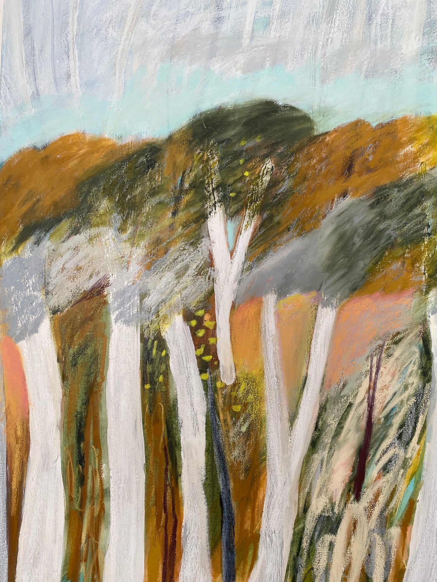 Cloudsong Canopy