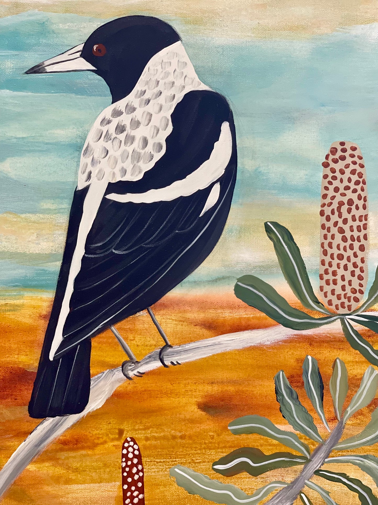 Magpies in the Banksia