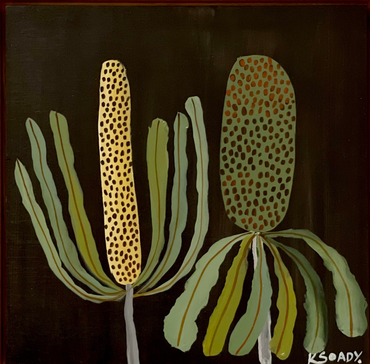 Evening Banksias #5