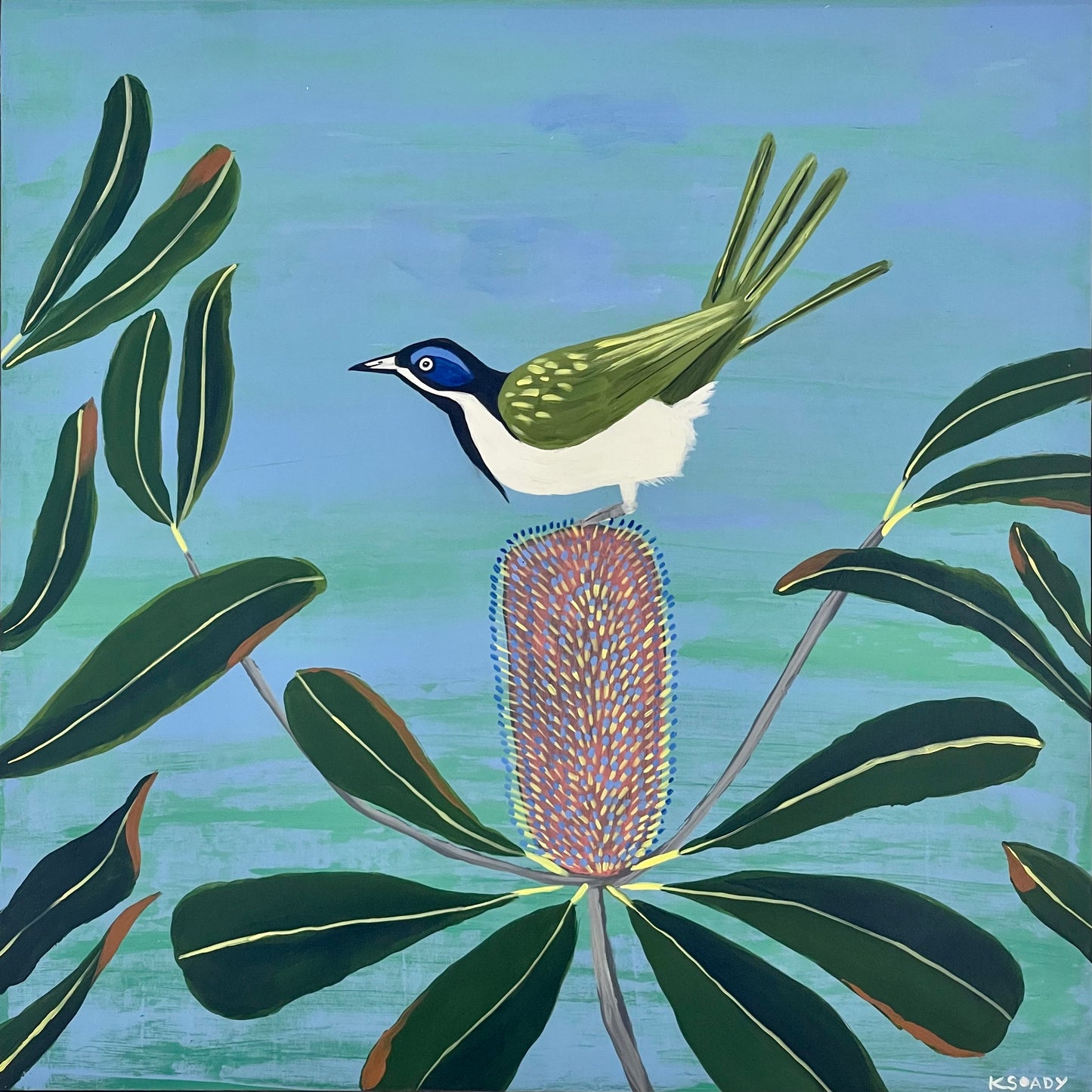 Blue Faced Honeyeater