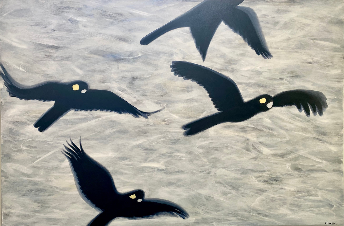 Flight of the Black Cockatoos