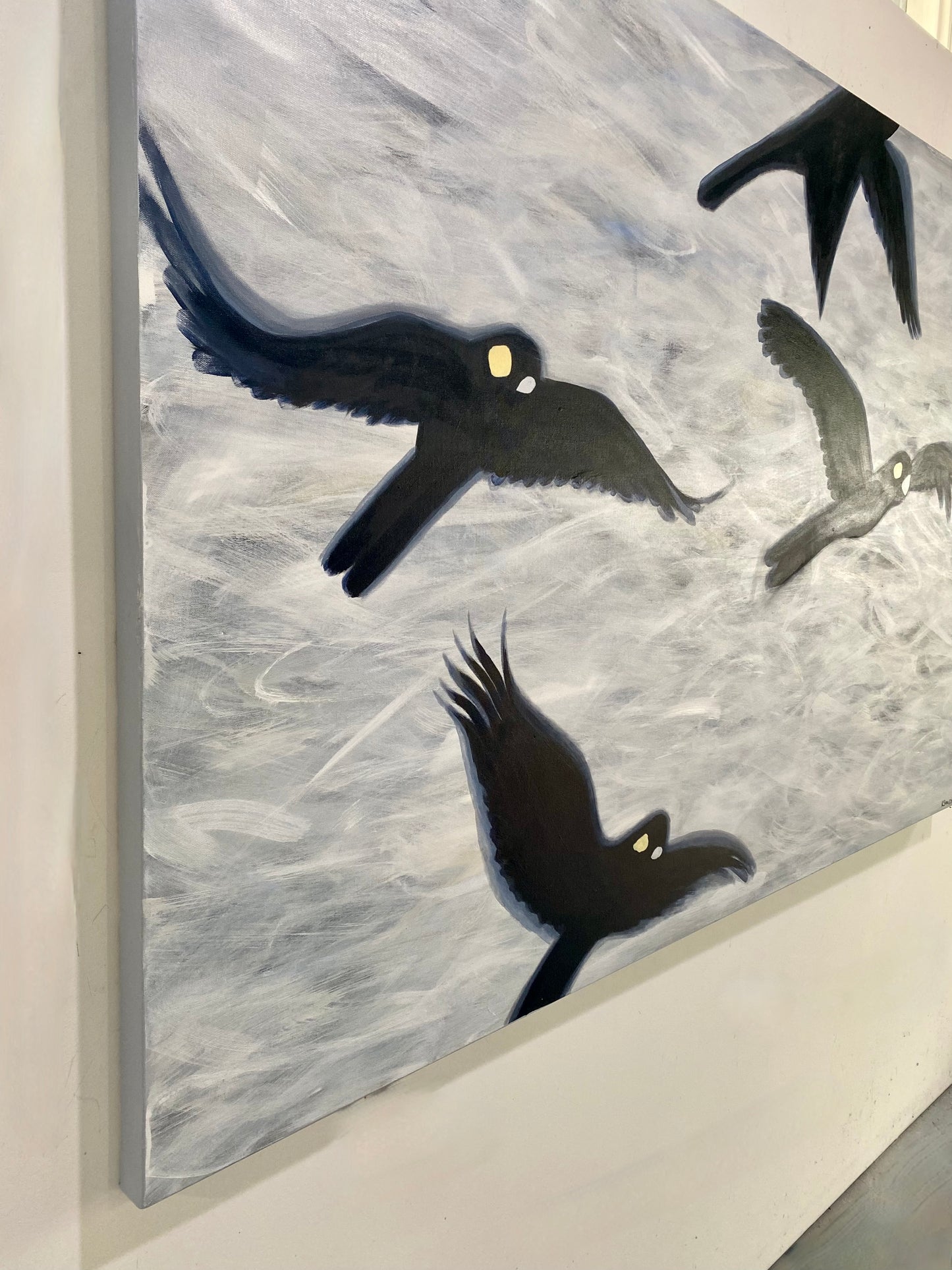 Flight of the Black Cockatoos