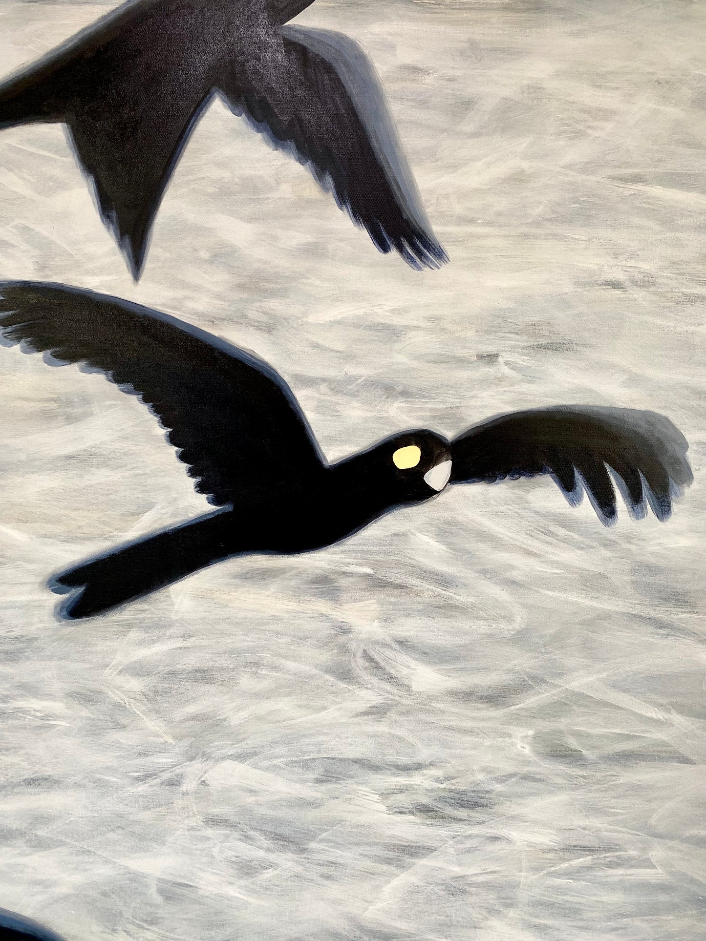 Flight of the Black Cockatoos