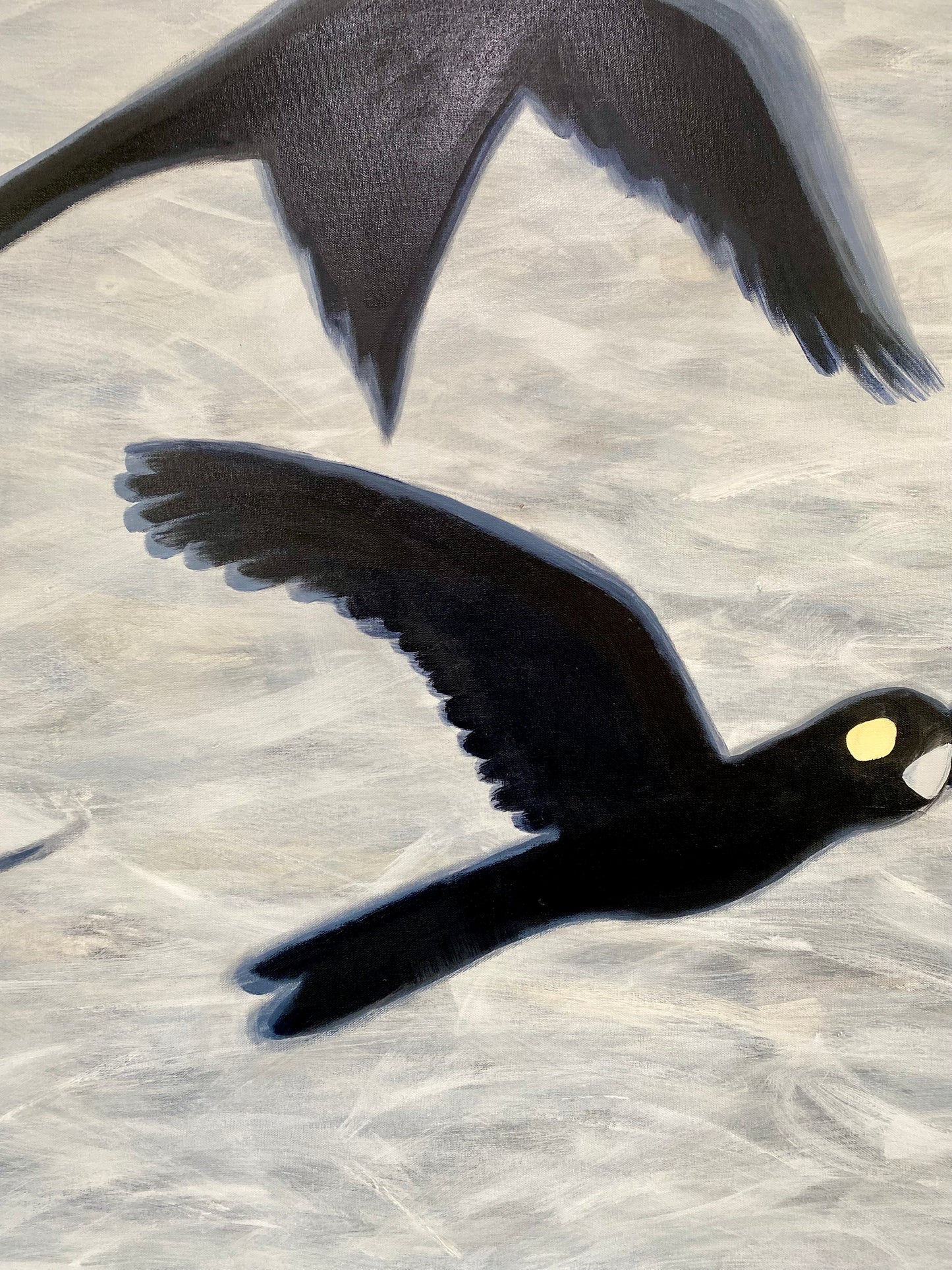 Flight of the Black Cockatoos
