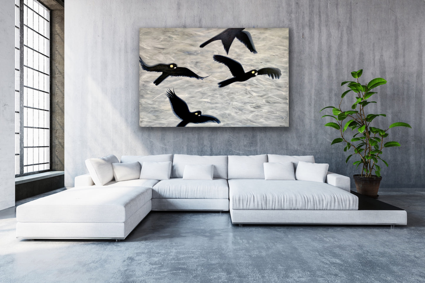 Flight of the Black Cockatoos