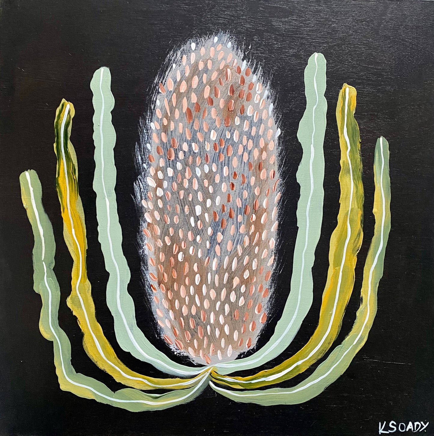Evening Banksia #11