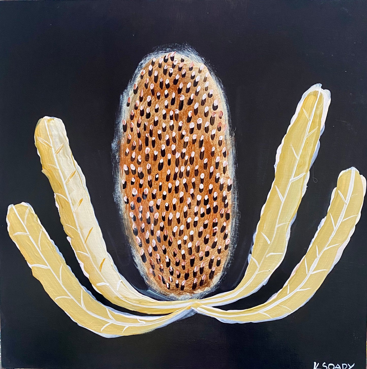Evening Banksia #13