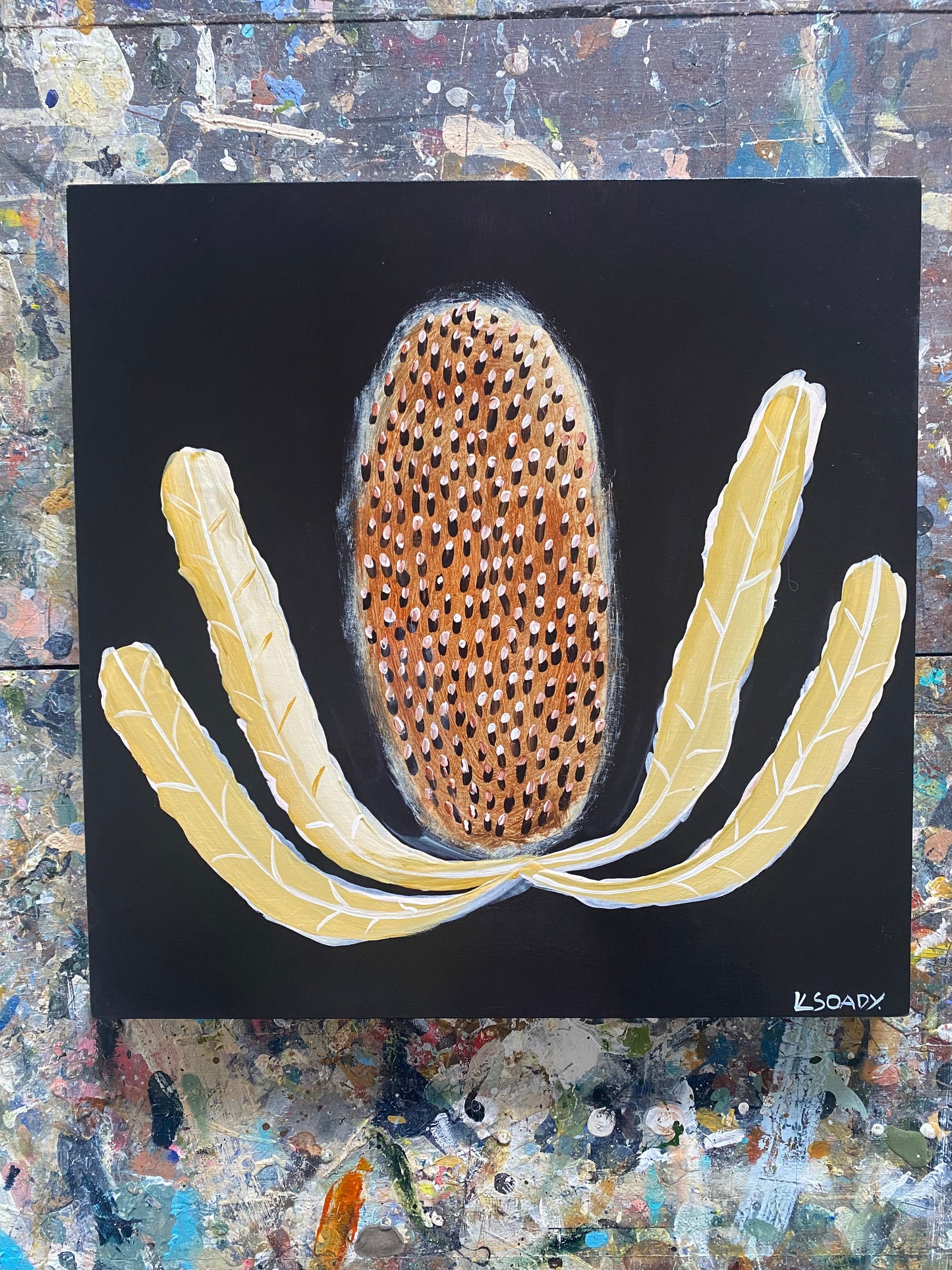 Evening Banksia #13