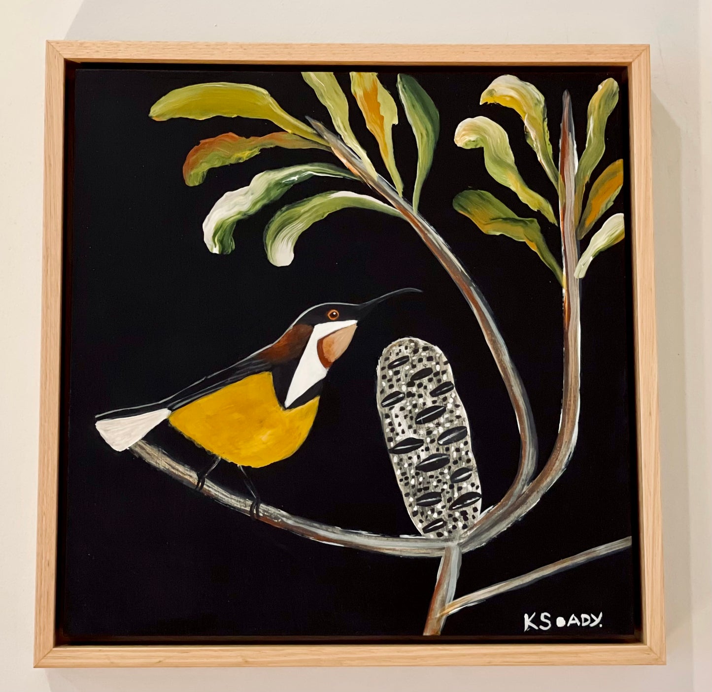 Pod & Eastern Spinebill #1
