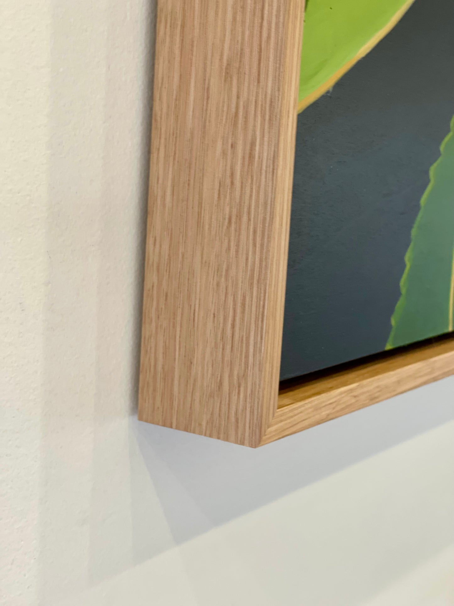 Eastern Spinebill and Robur