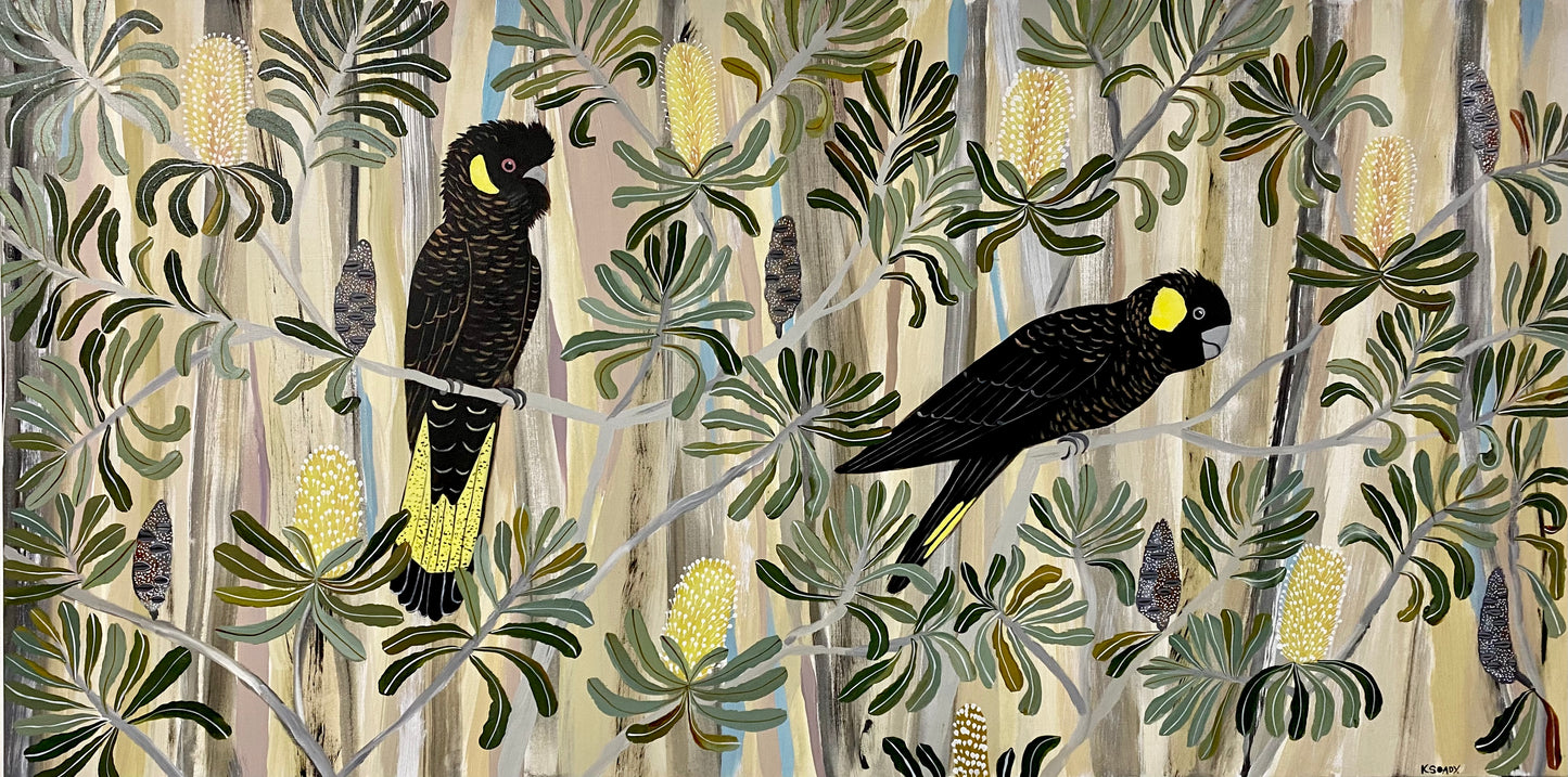 Yellow Tailed Black Cockatoos