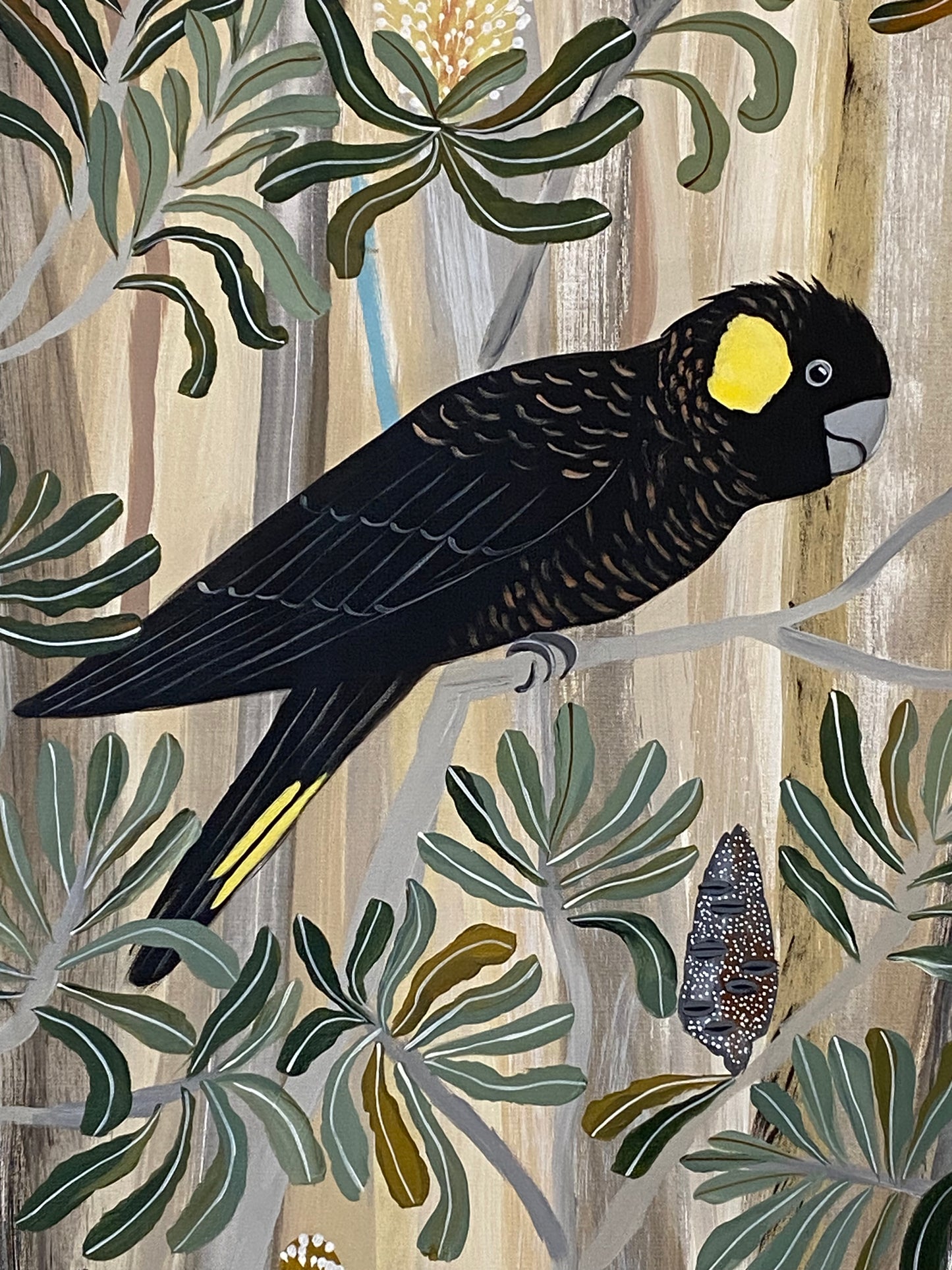 Yellow Tailed Black Cockatoos