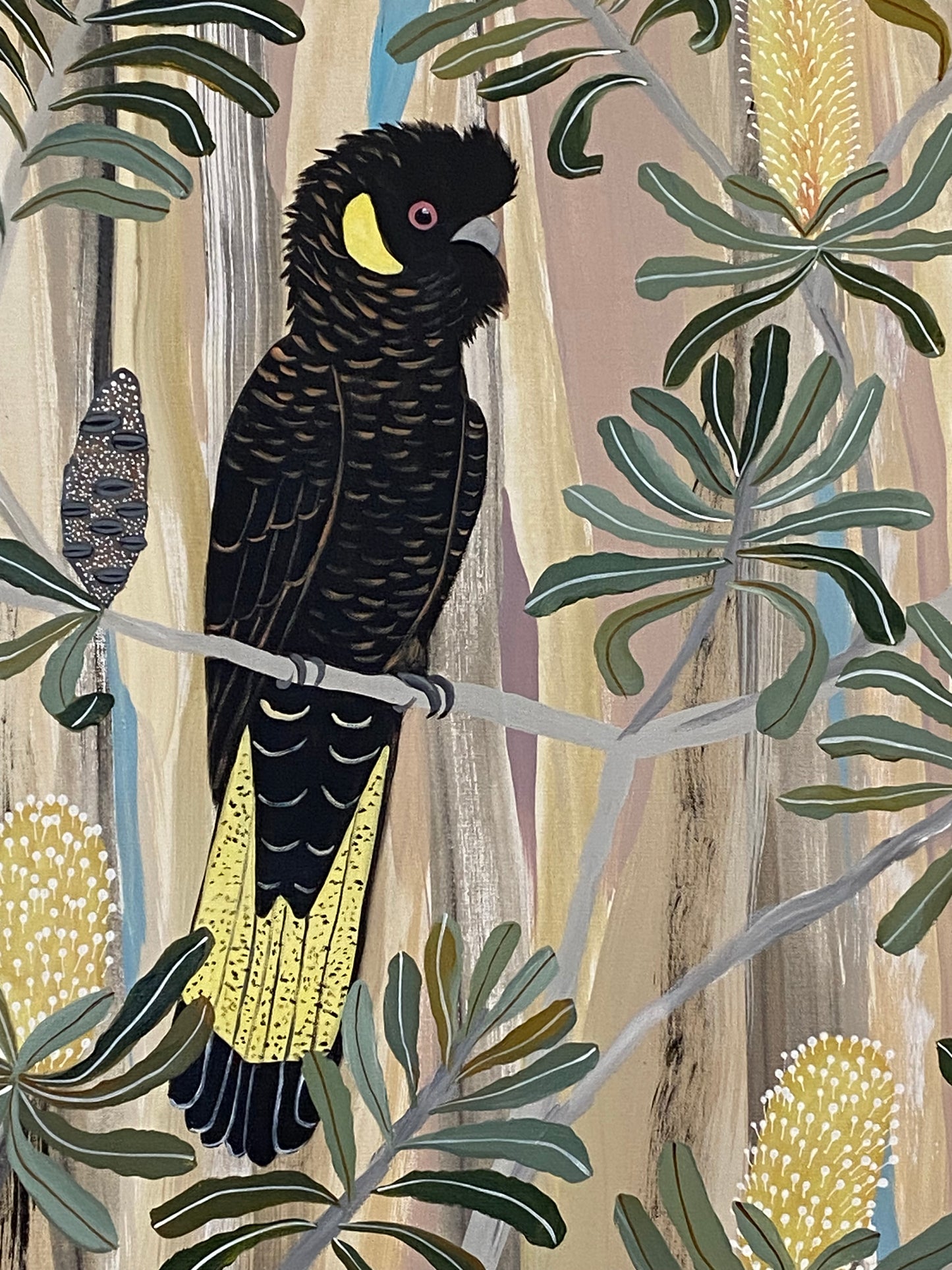 Yellow Tailed Black Cockatoos