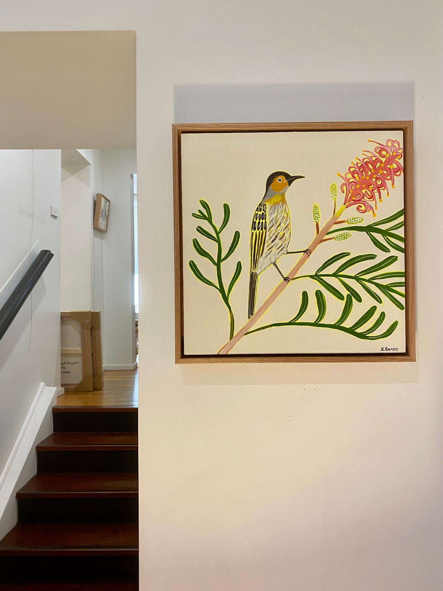Macleays Honeyeater