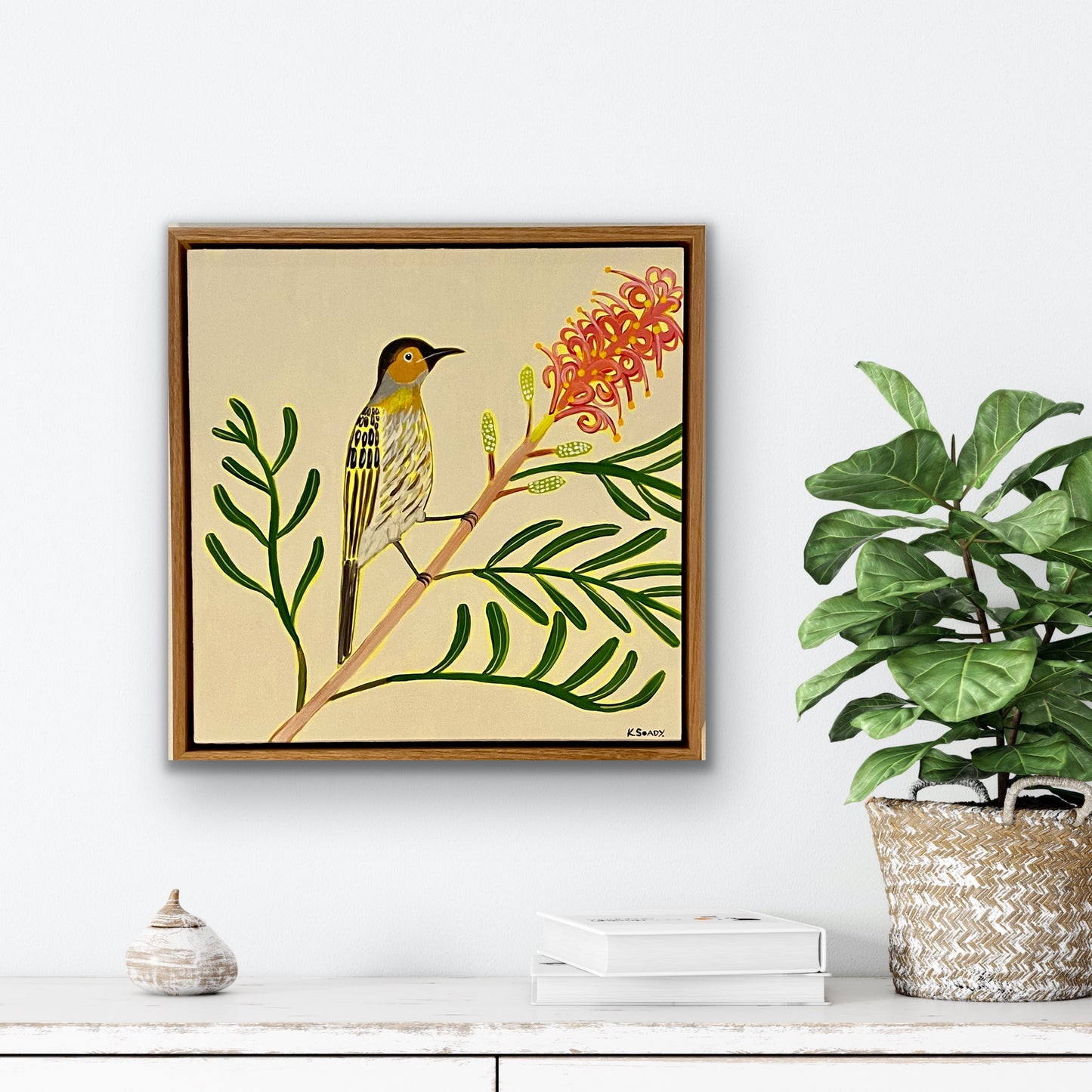 Macleays Honeyeater