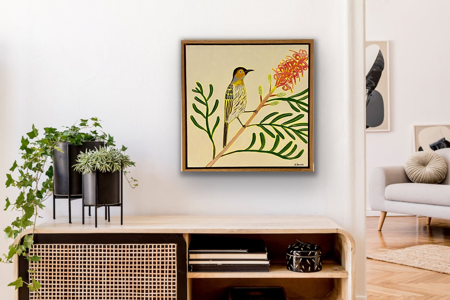 Macleays Honeyeater