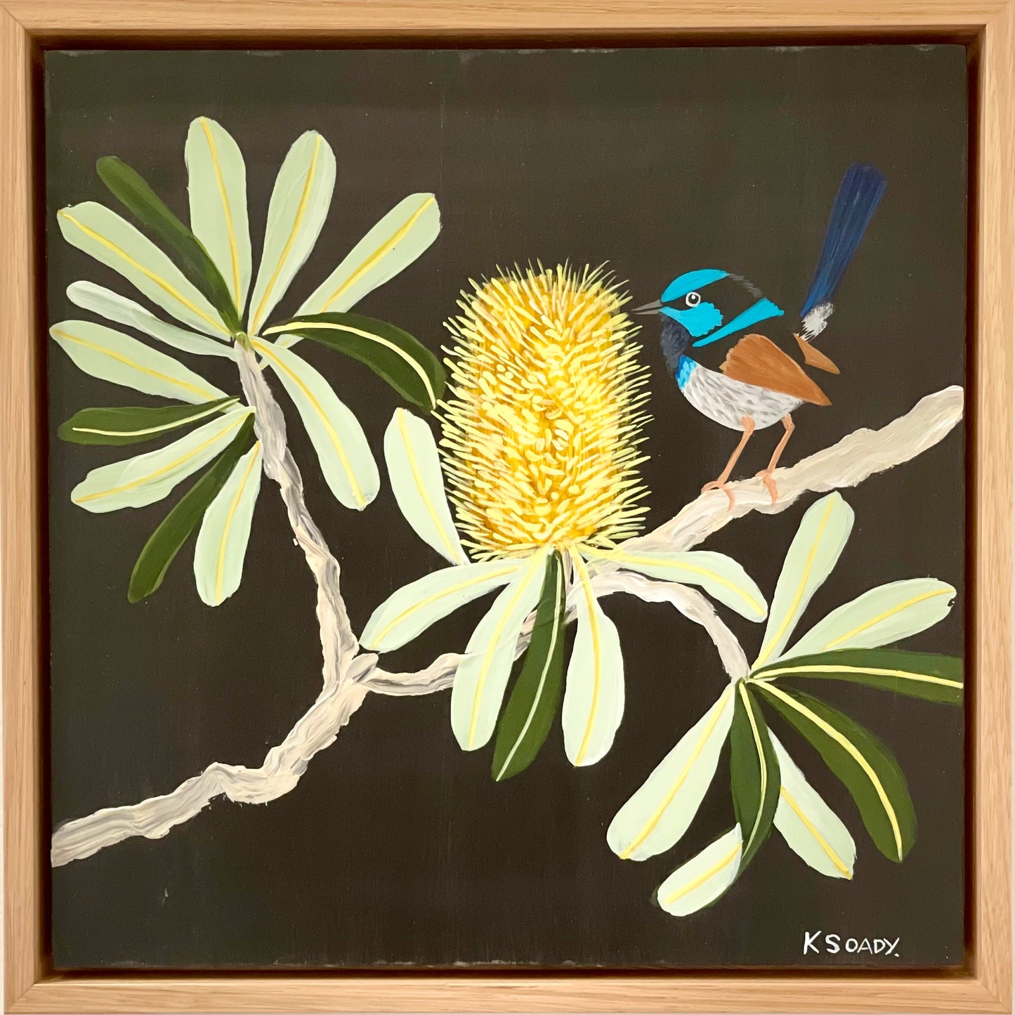 Fairy Wren and Banksia #3
