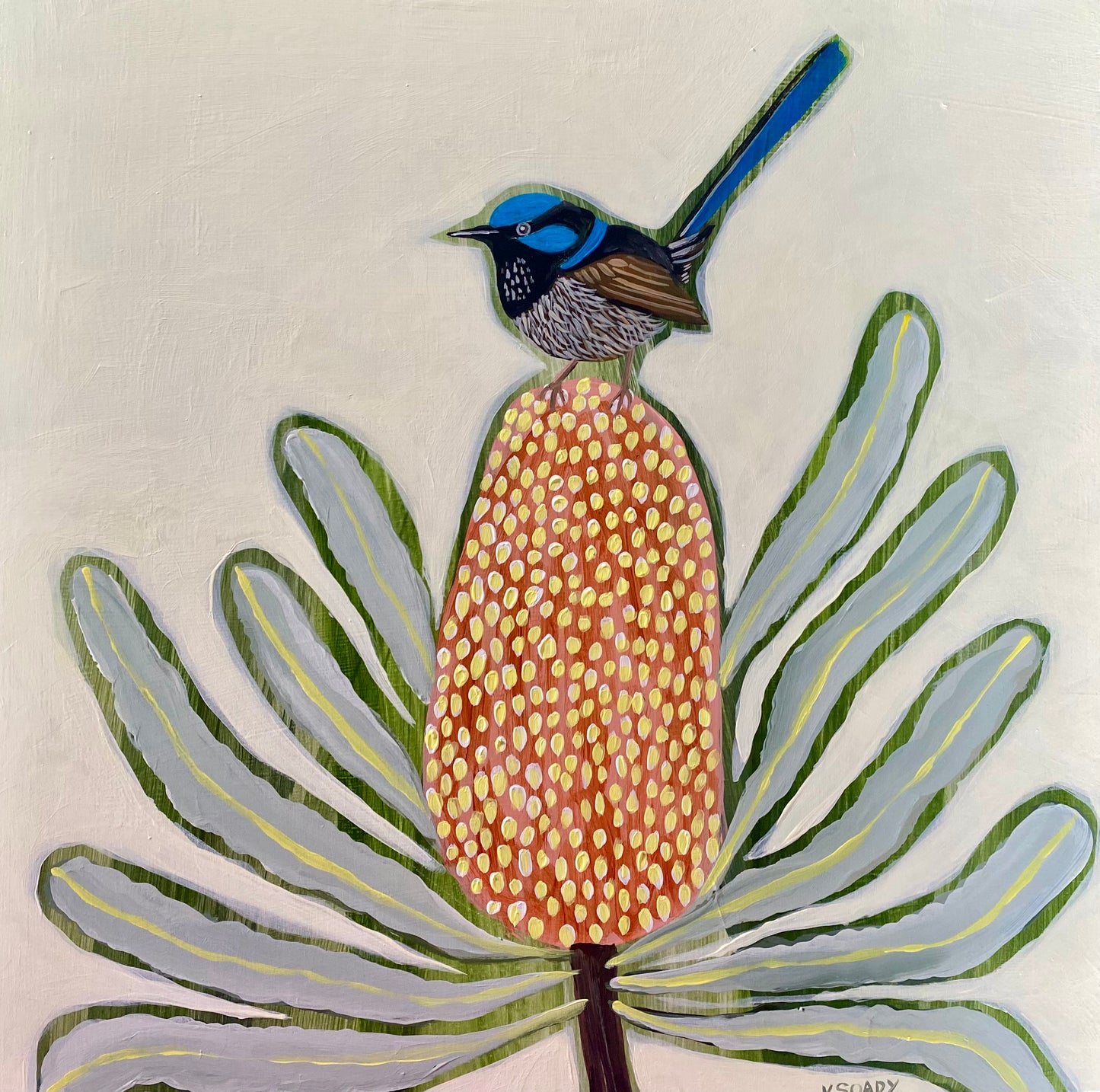 Fairy Wren and Banksia #3