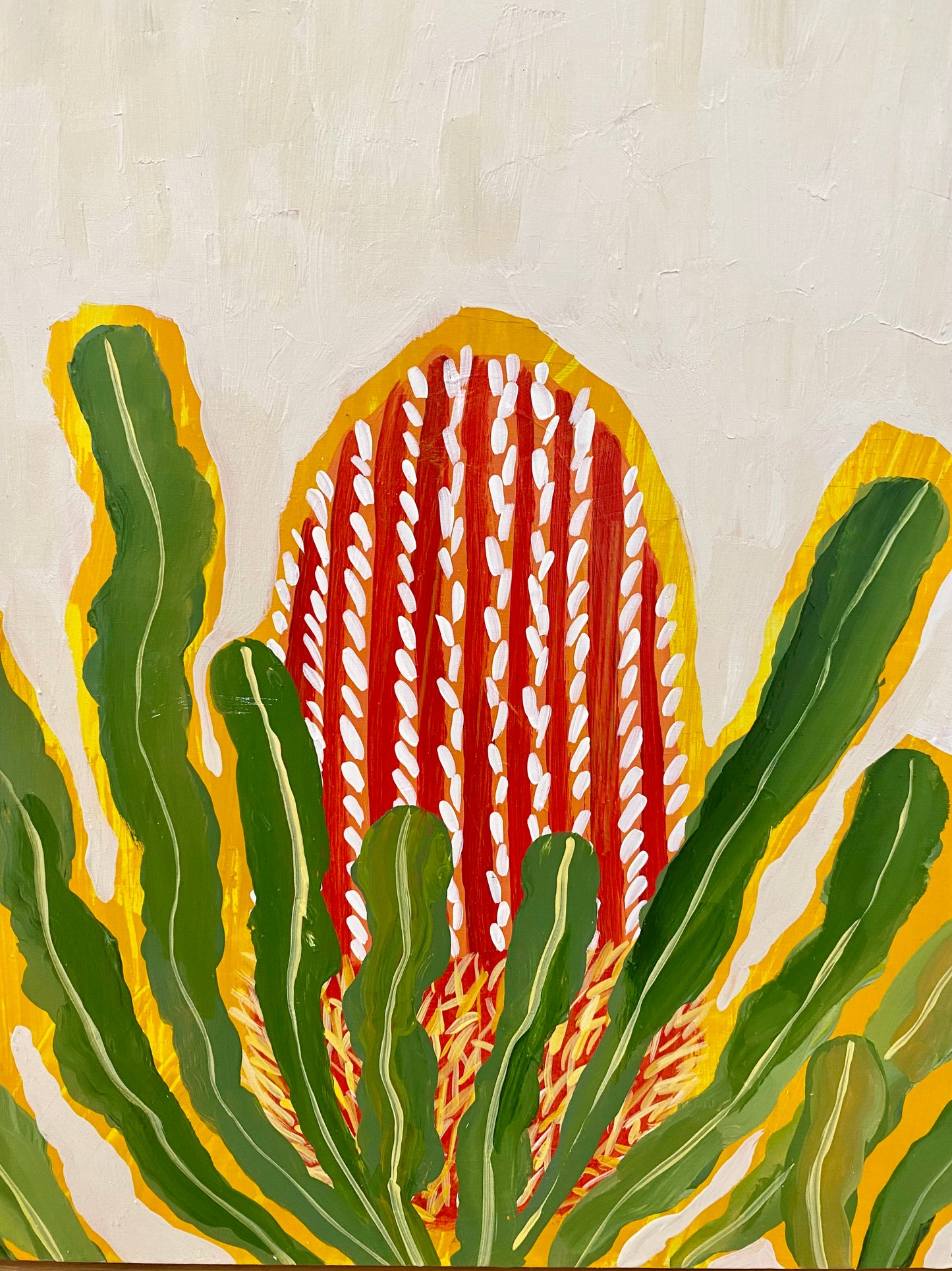 Banksia Menziesii