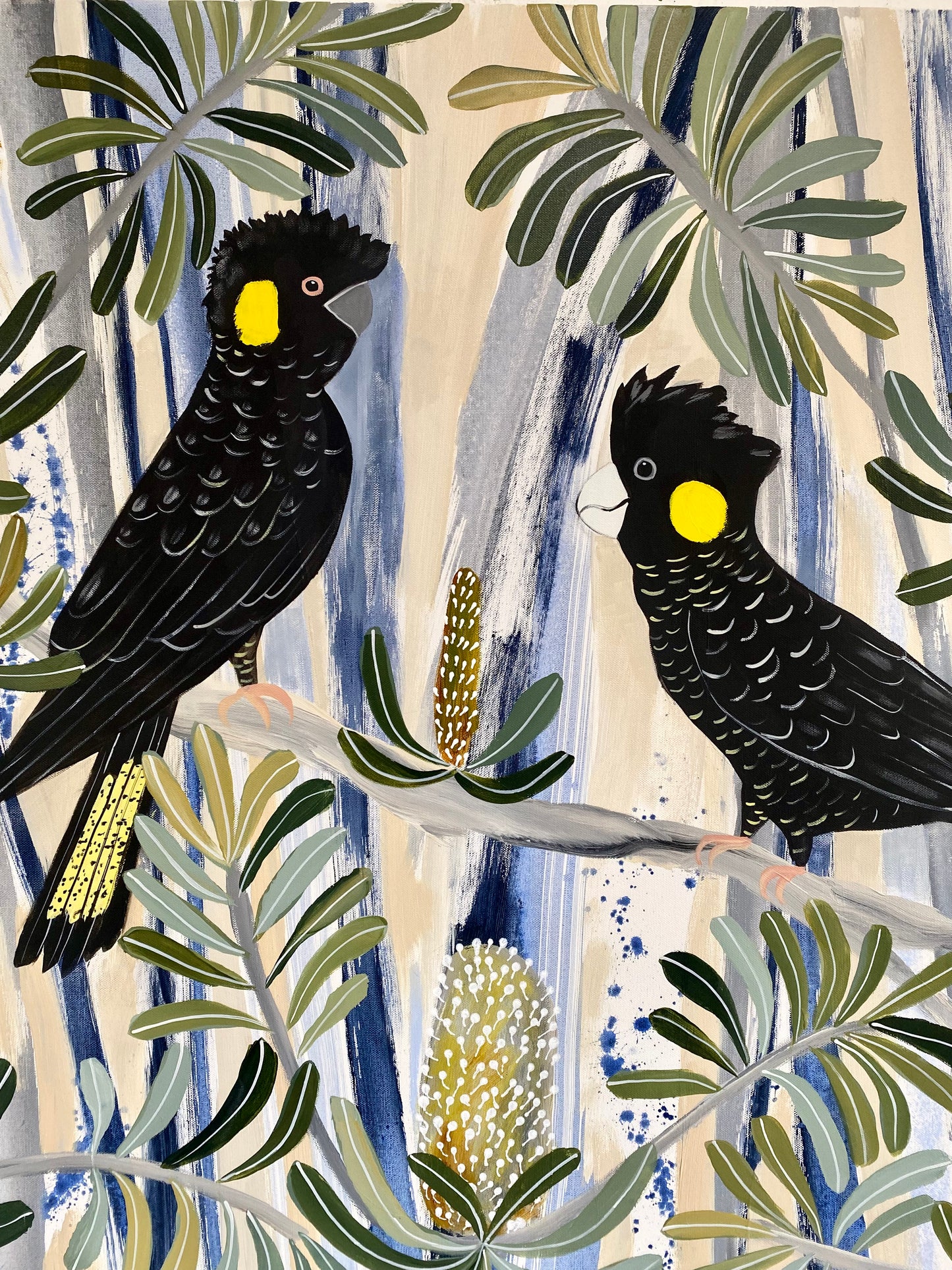 Kylie - Sydney / Summertime Black Cockatoos