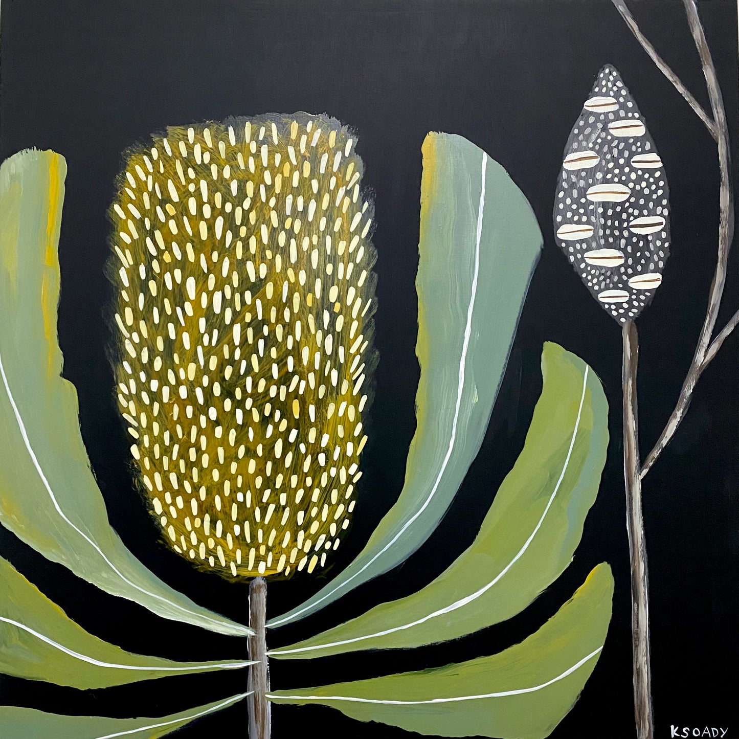 Banksia Nocturne & Pod #3