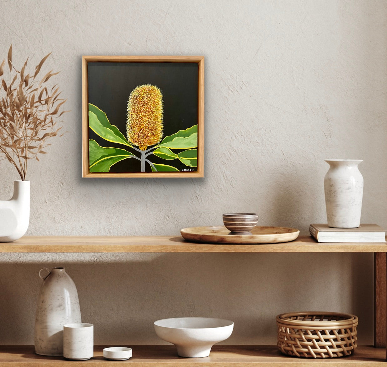 Banksia Robur