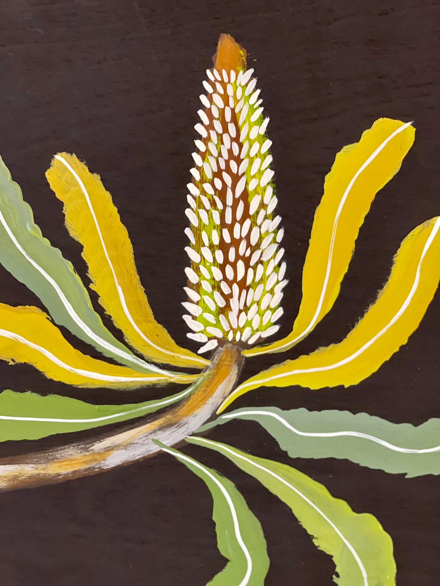 Billy Buttons & Banksia #5